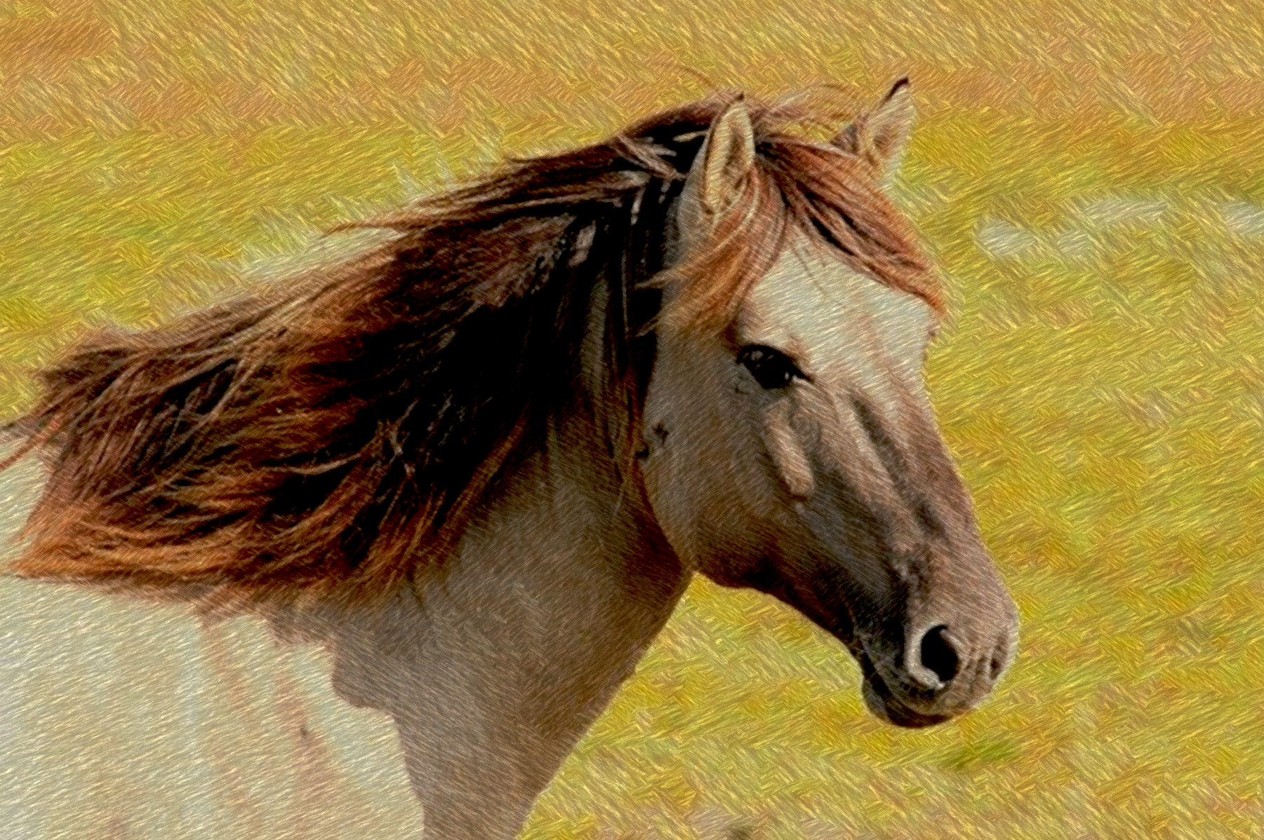 horse-197199_DN_A_FakePainting_Issa.JPG