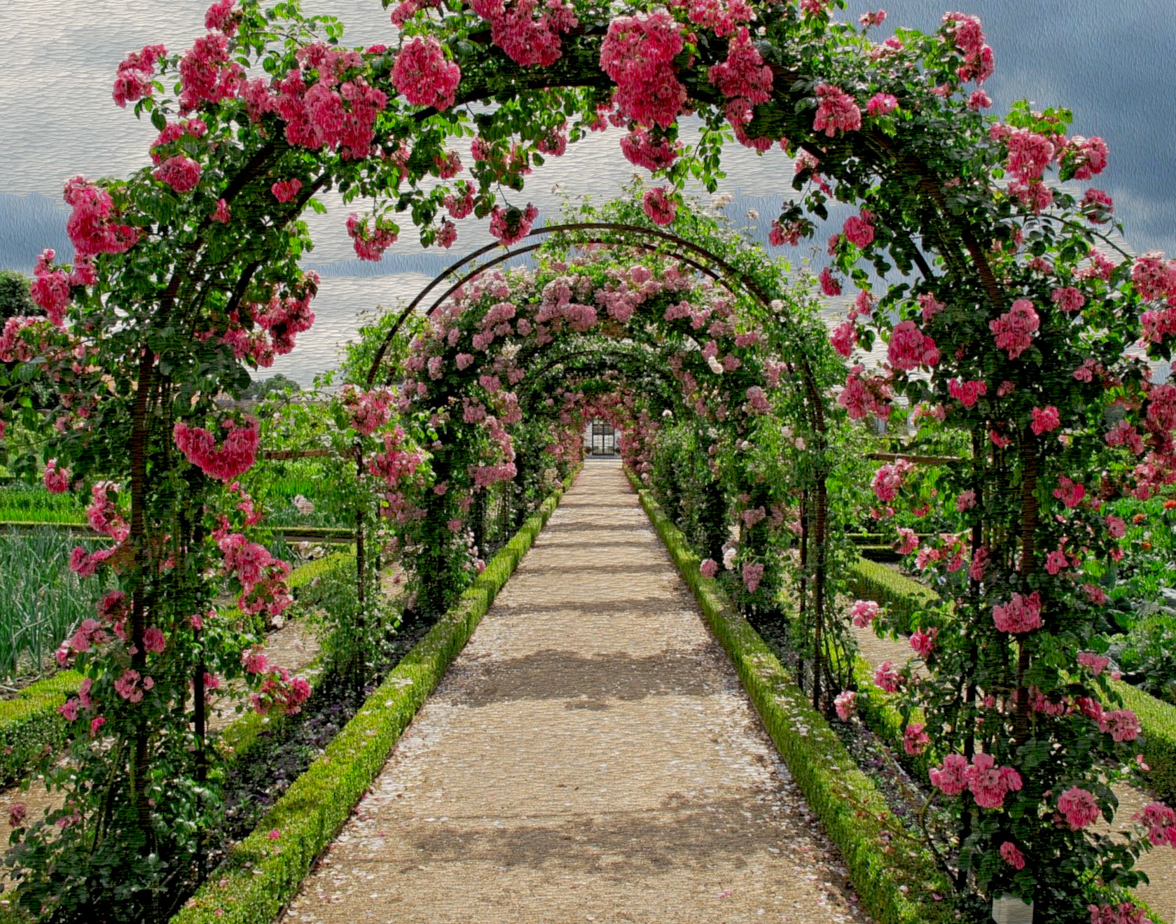 roses-2245612_DN_A_FakePainting_Issa.JPG