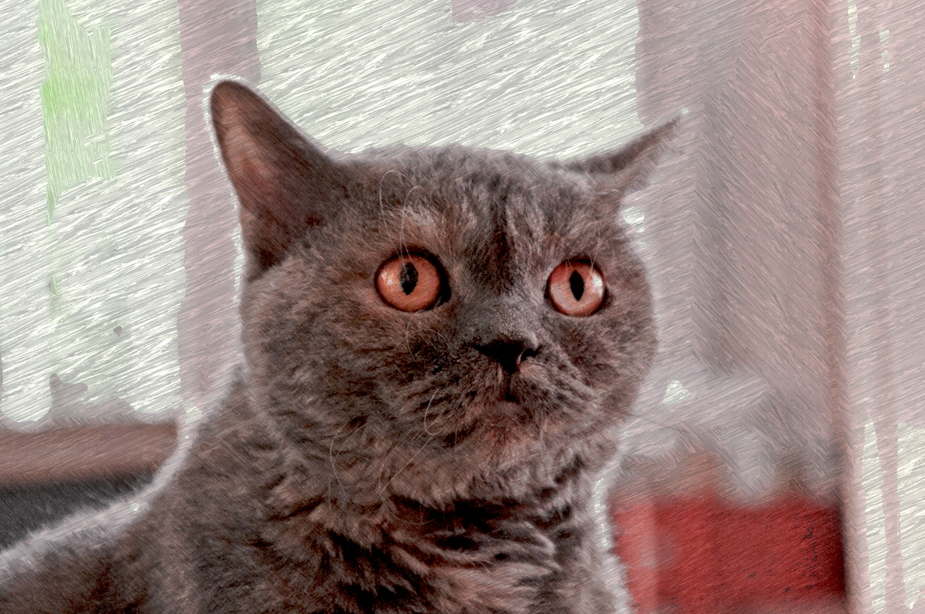 cat-3654104_DN_A_FakePainting_Issa_25.JPG