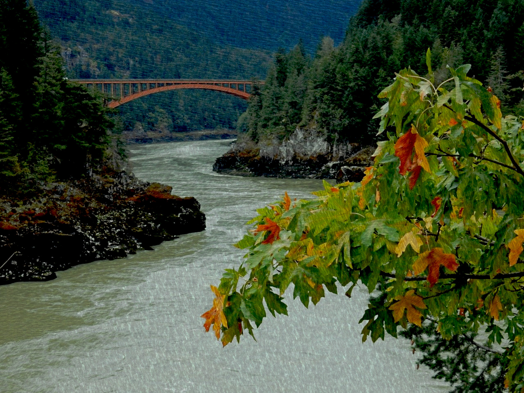 fraser-river-1723724_DN_A_FakePainting_Issa_22.JPG