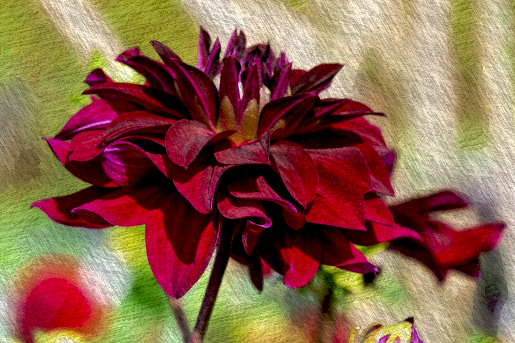 flower-4684594_DN_FPSnew98_Issa.JPG
