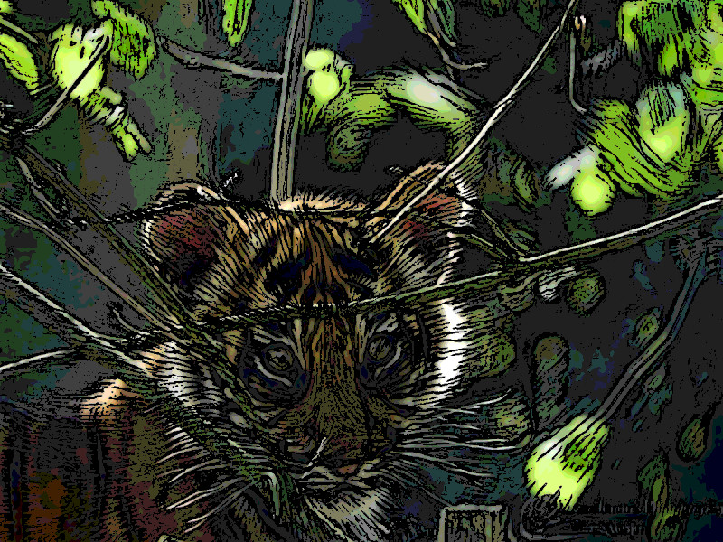 2020-01-10 08-13-04don_t_read_between_the_lines_by_mouselemur_ddlg9og-fullview as a simple comic drawing.jpg