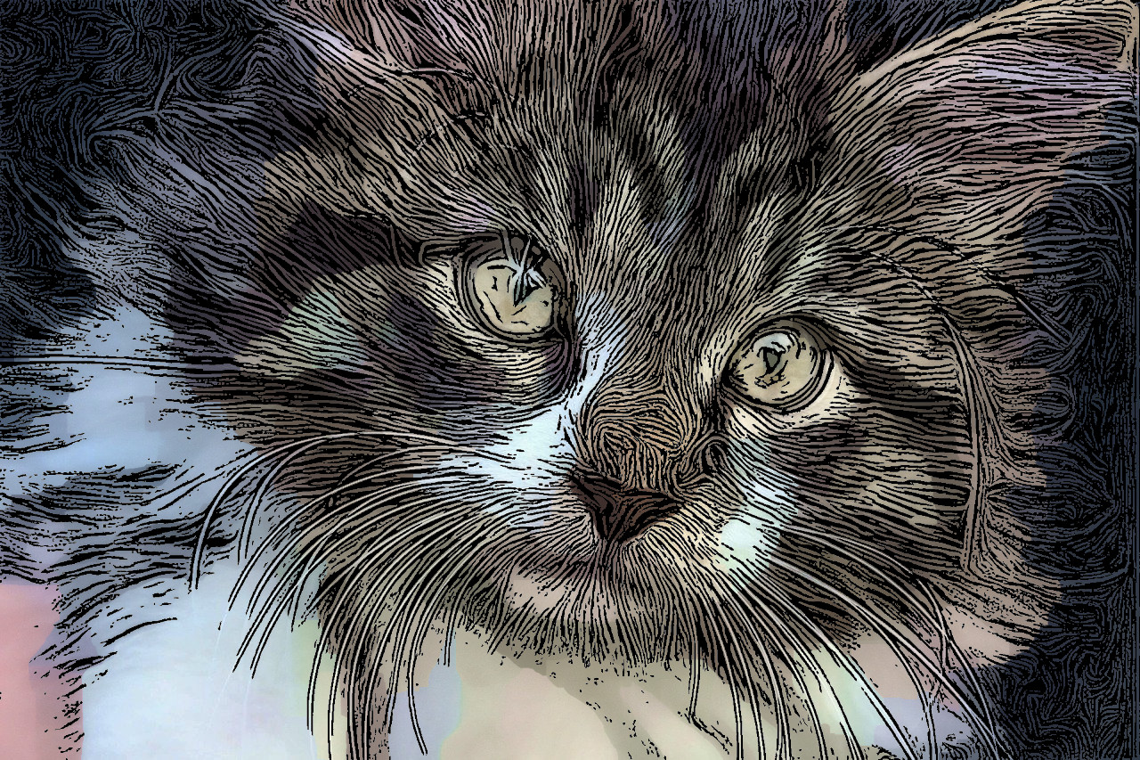 animals-3687796_CartoonEffect_Issa.jpg