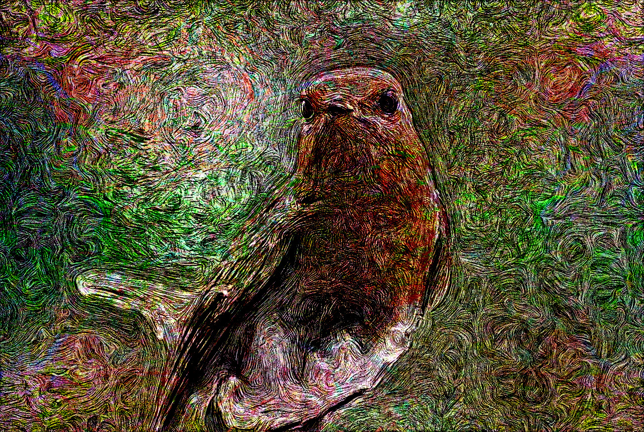 robin-3494694_DN_EngravedByVangoh_Issa.JPG