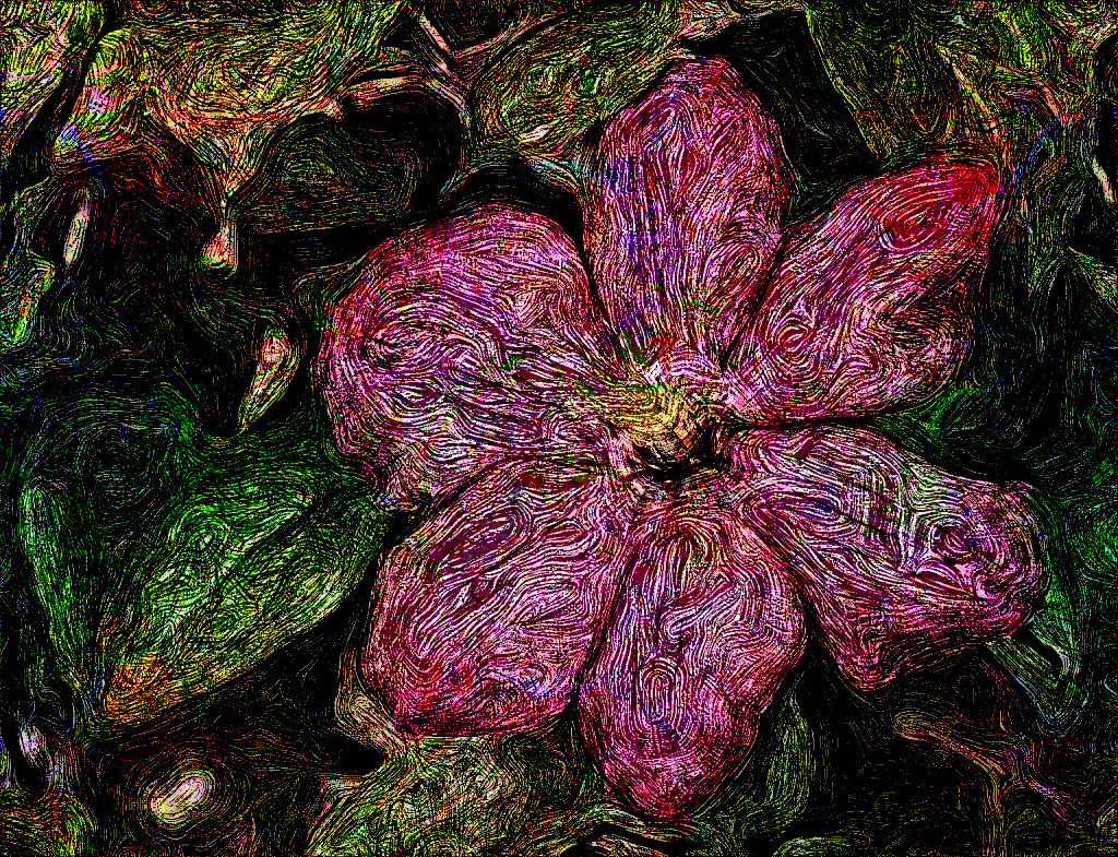 bloom-blooming-blossom-35055_DN_EngravedByVangoh_Issa.JPG