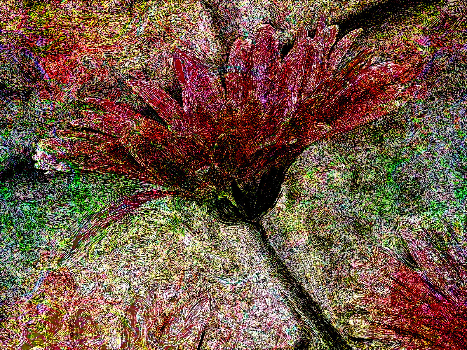 DSCN3559_DN_EngravedByVangoh_Issa.JPG