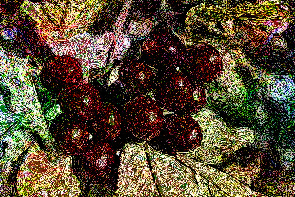 picotas-jerte_DN_EngravedByVangoh_Issa.JPG