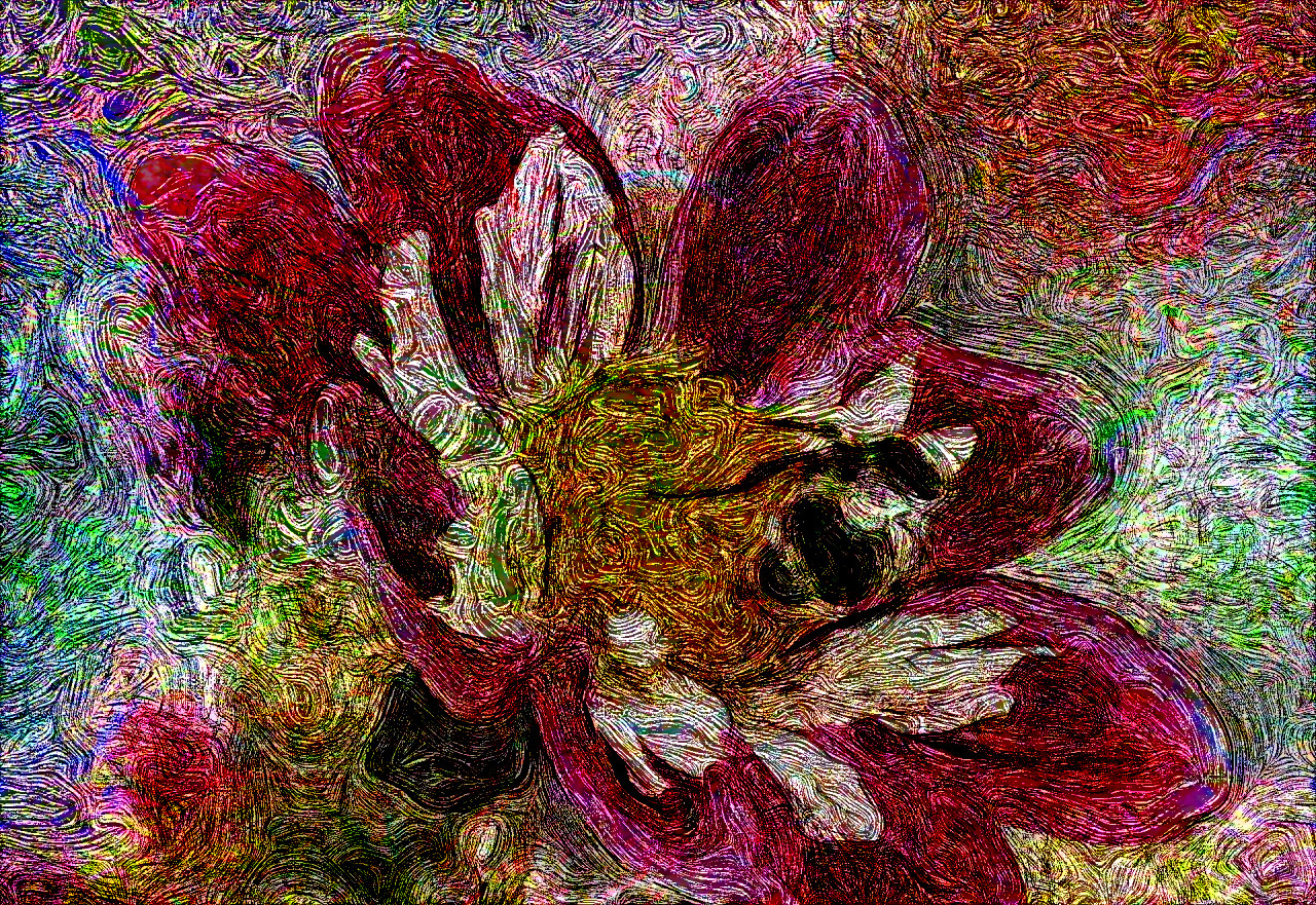 zinnia-3607595_DN_EngravedByVangoh_Issa.JPG