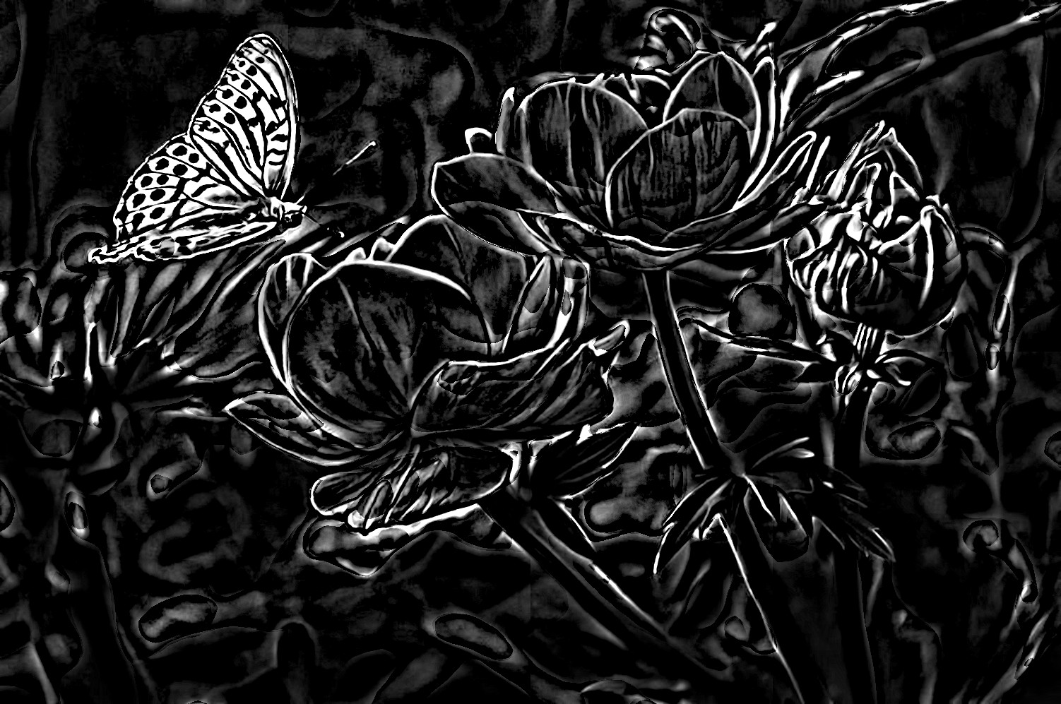 orange-flower-with-butterfly-87452_DN_SoftColourPencilsOnBlack_Issa_.JPG