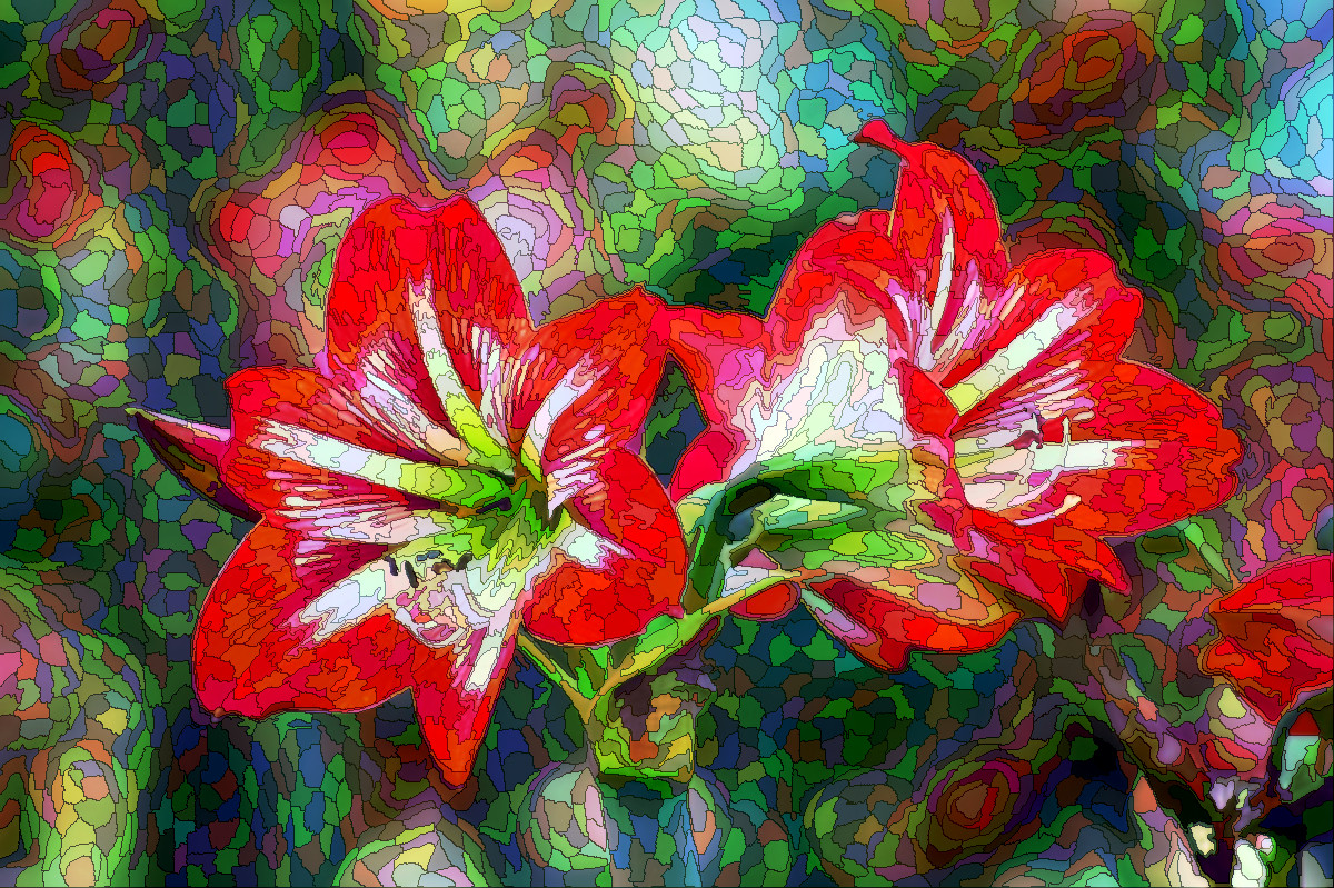bokeh-photo-of-white-and-red-flowers-696996_DN_VividMosaic_Issa.JPG