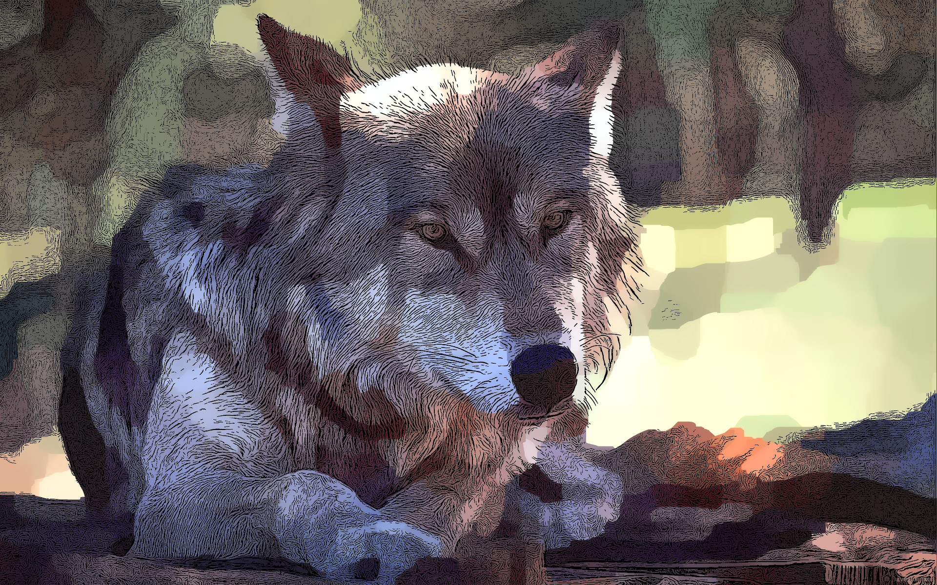 after-saturating.jpg