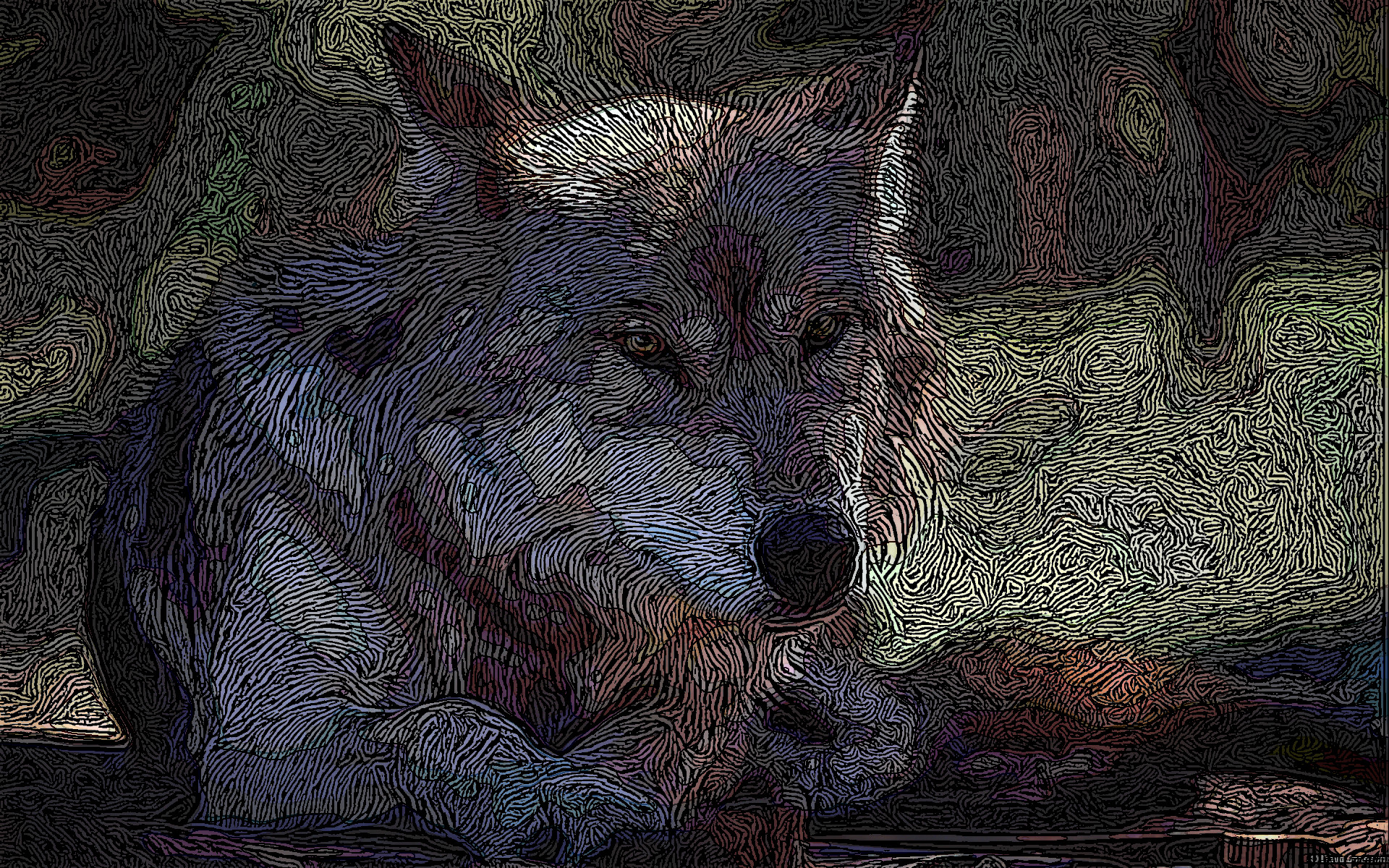 19950_en_1 as an engraved drawing.jpg