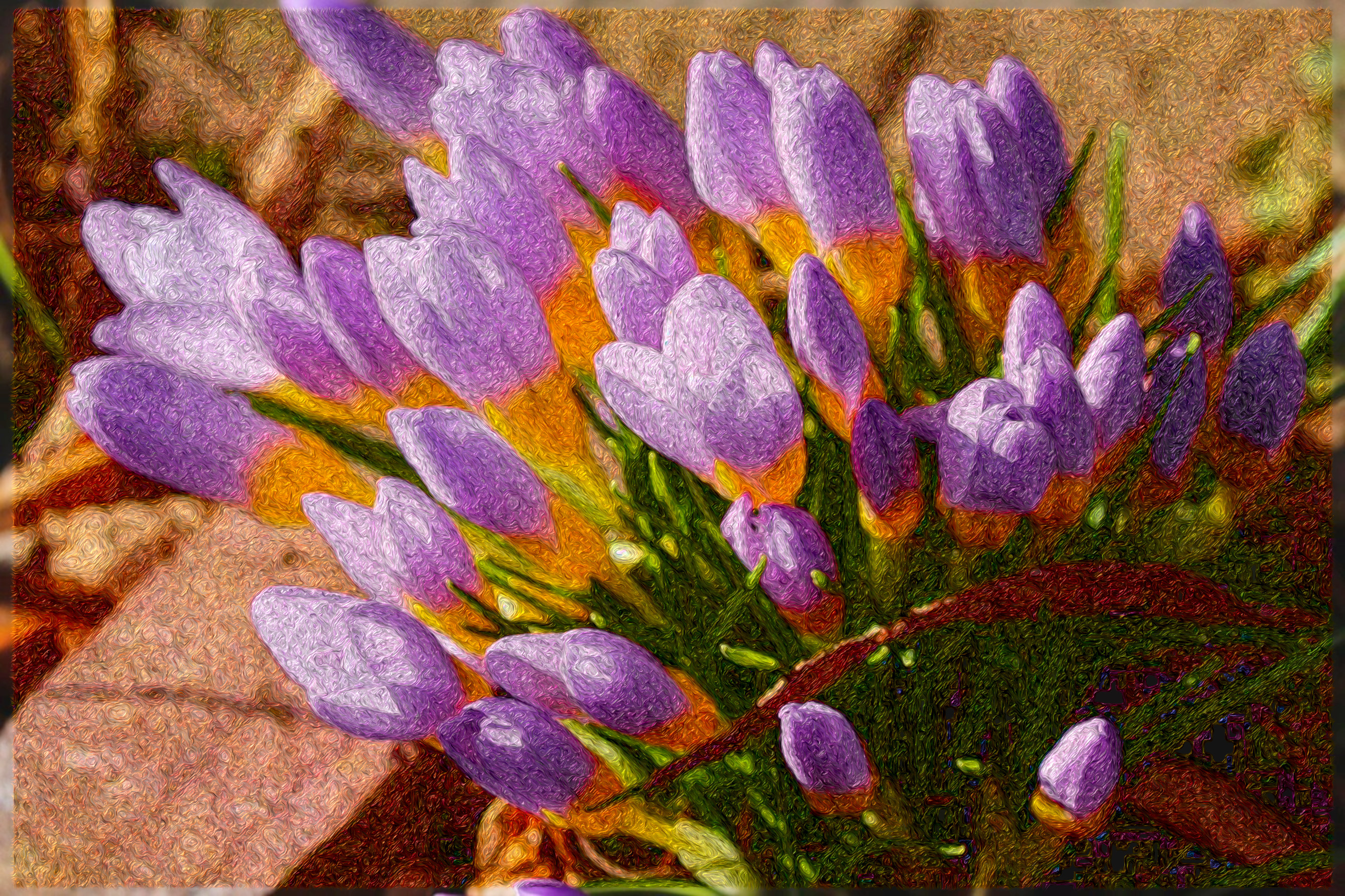 crocus-4846453_DN_PaintWithHairLocks_Issa.JPG