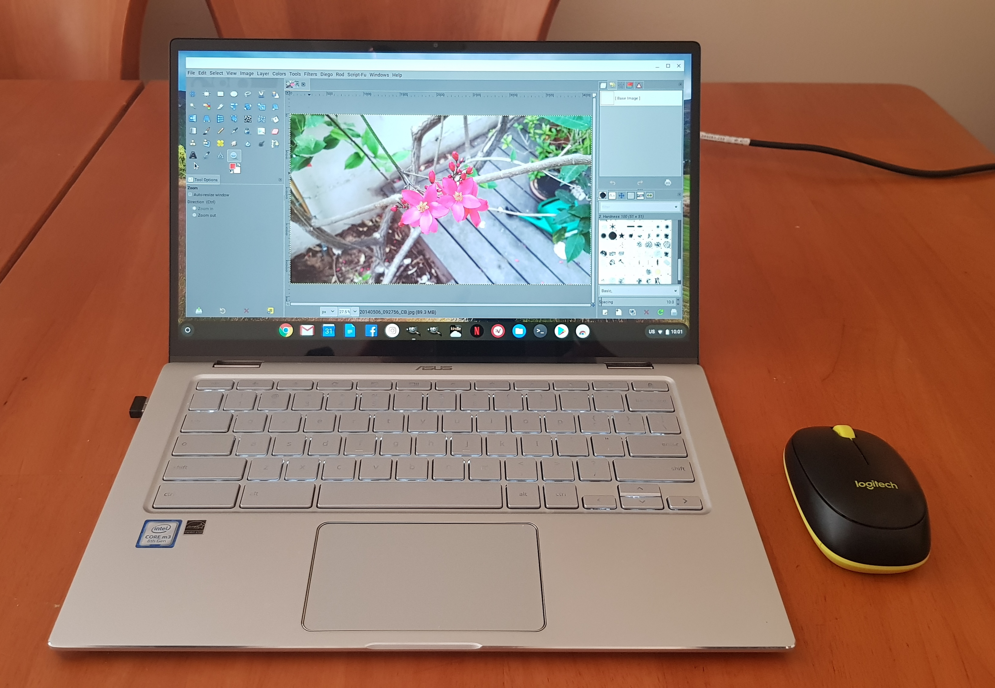 Gimp On Asus ChromeBook Computer.jpg