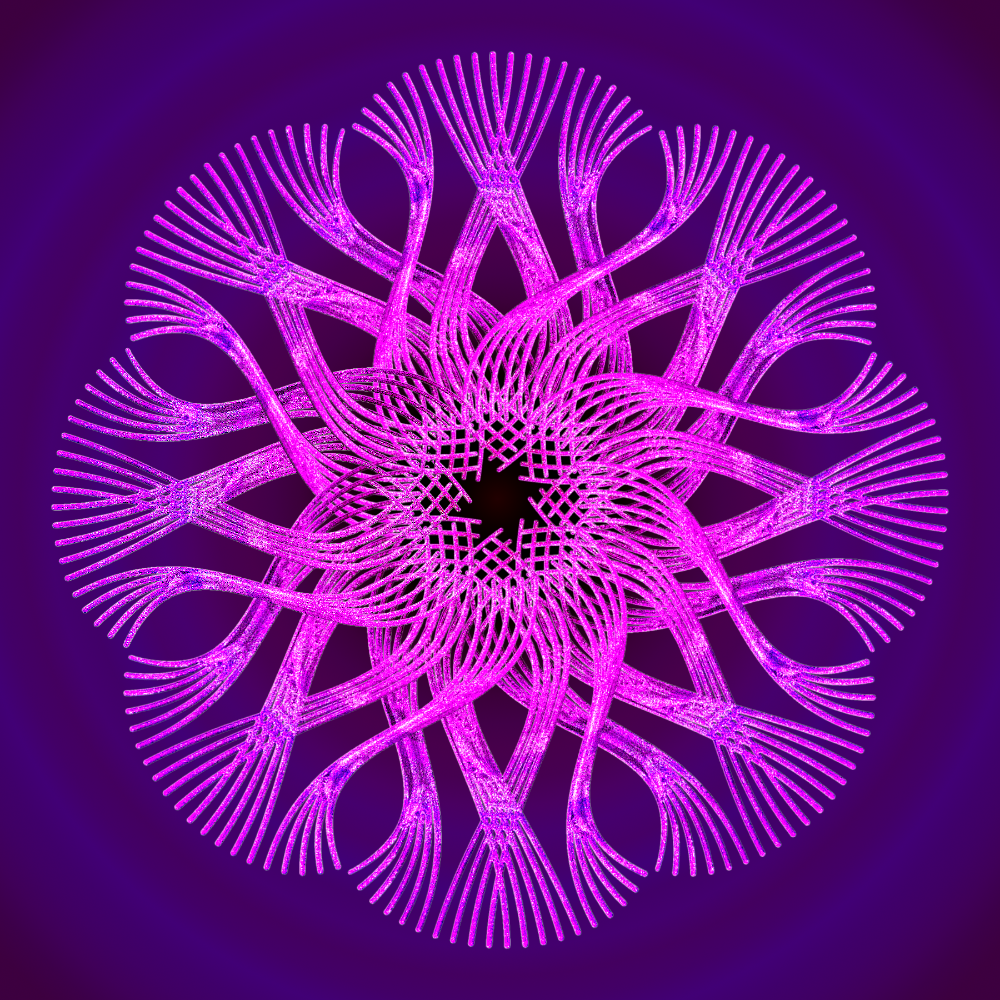 mandala_ofnuts3.png