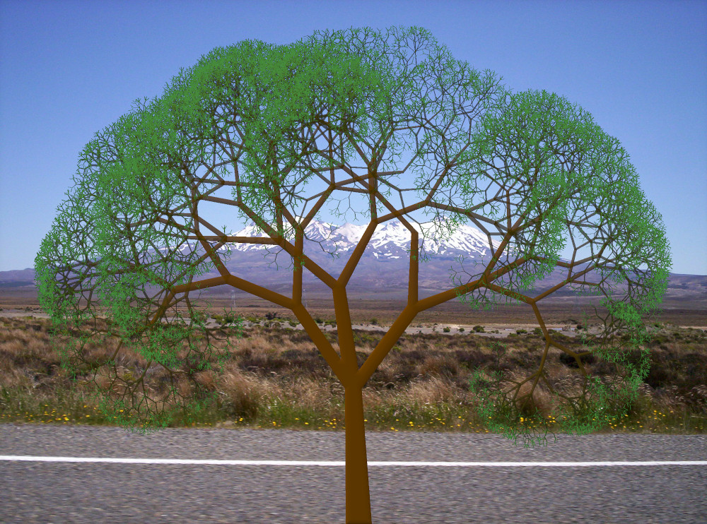 tree.jpg
