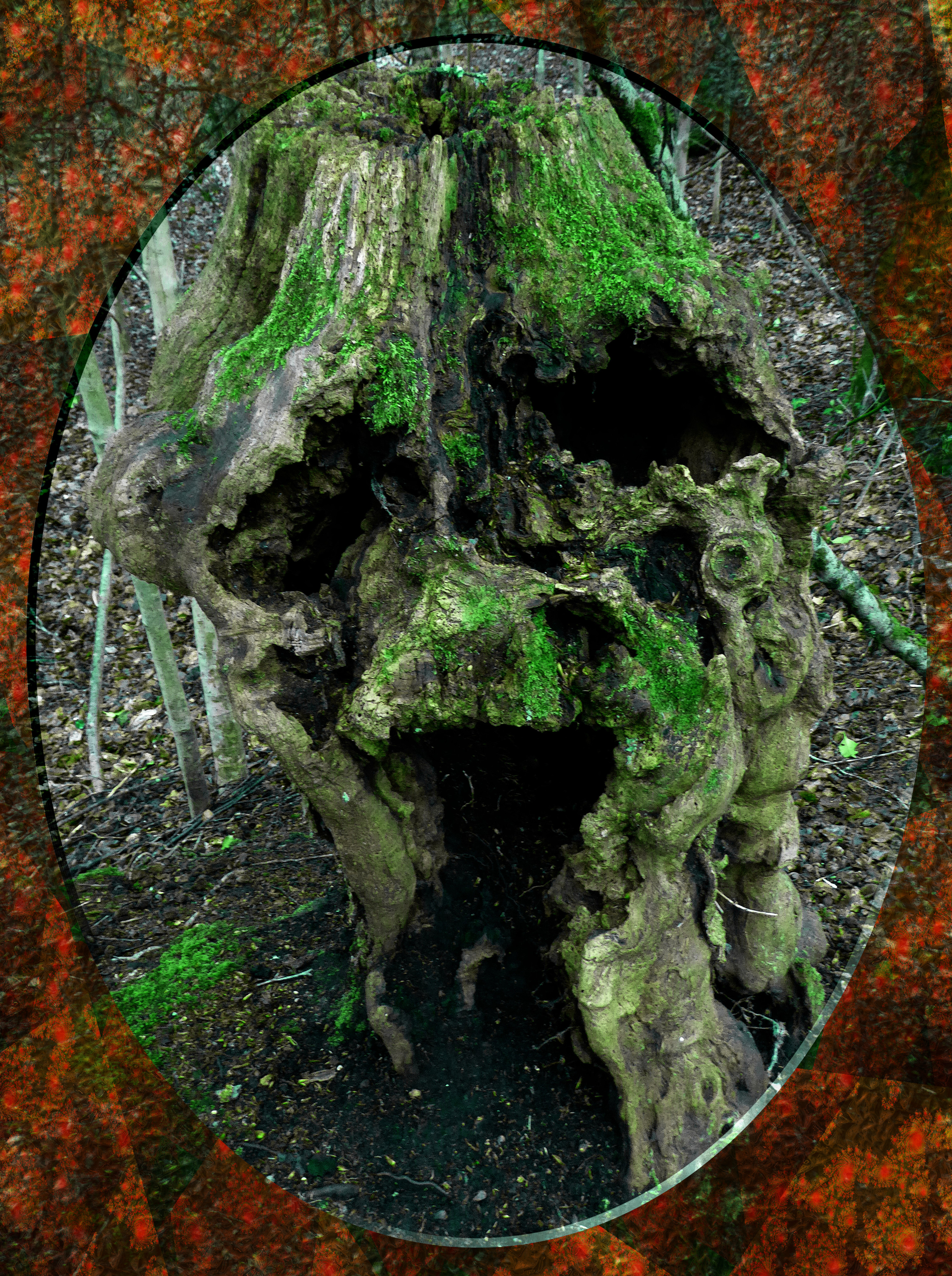 poor-old-tree.jpg
