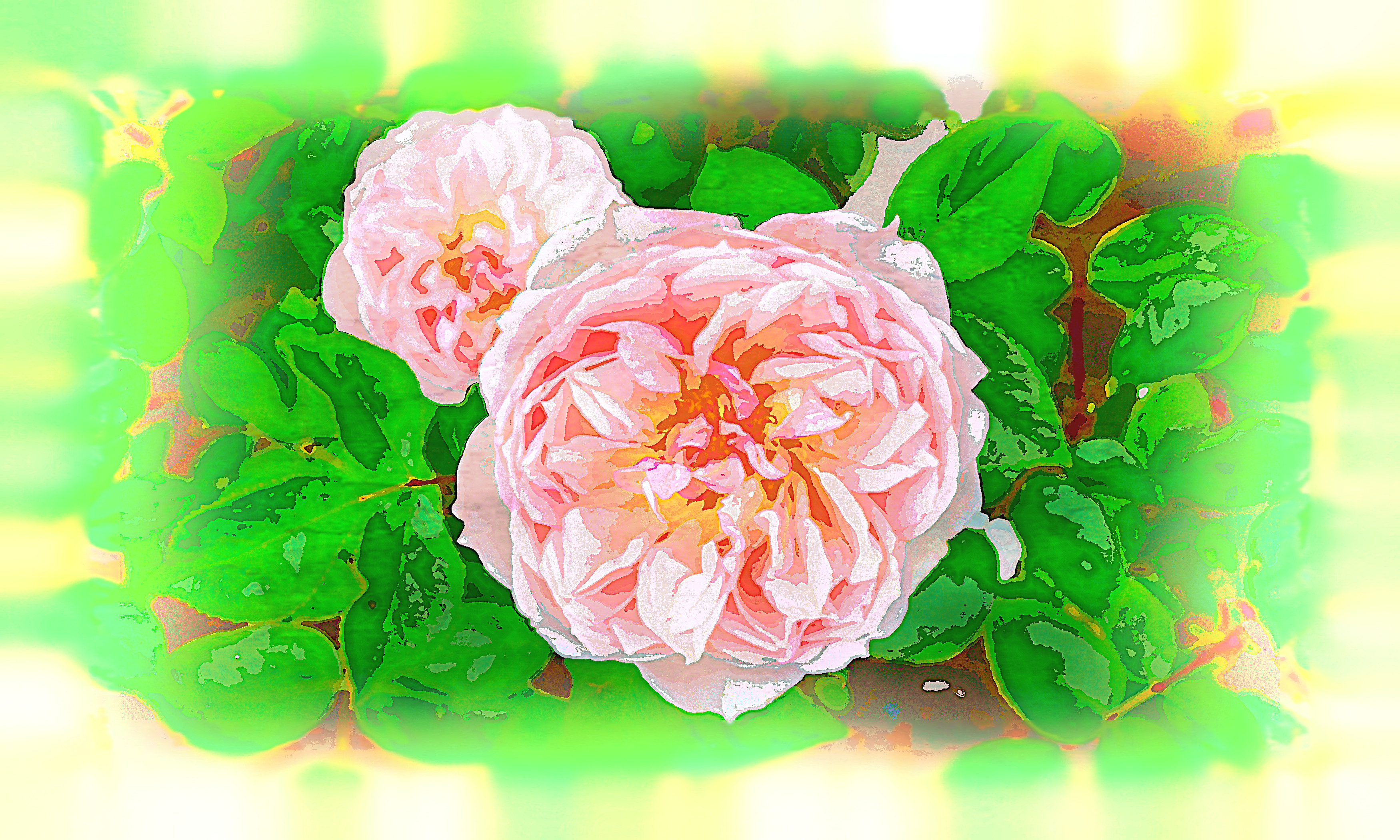 2020-04-03 07-36-52 beautiful-bloom-blooming-blossom-109817 as a digital aquarel, using18 colours, source flower, look white plus.jpg