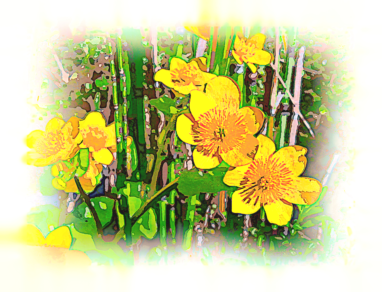 2020-04-03 09-16-52 marsh-marigold as a digital aquarel, using18 colours, source flower, look white plus.jpg