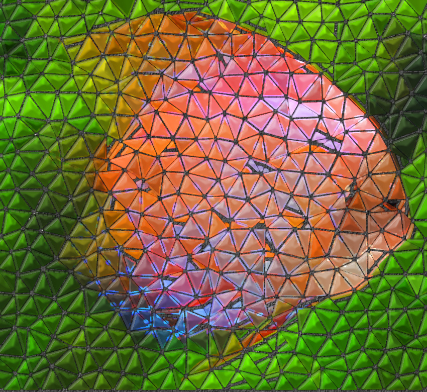 Beautiful-Tropical-Fish-56383-tri.jpg