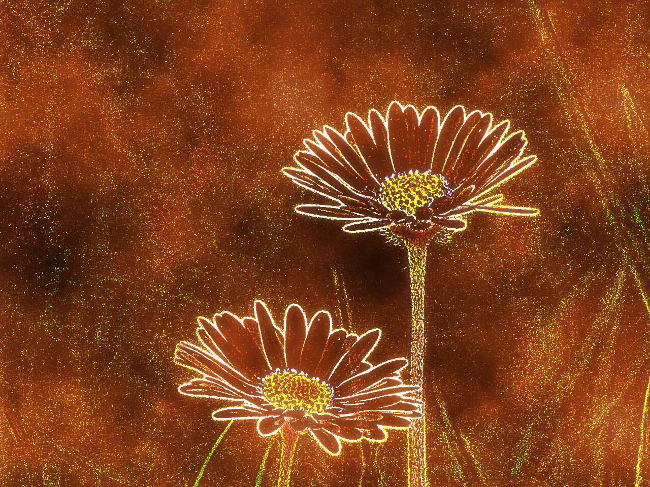 daisy-5066707_DN_DrawOnPaper_Issa1280.jpg