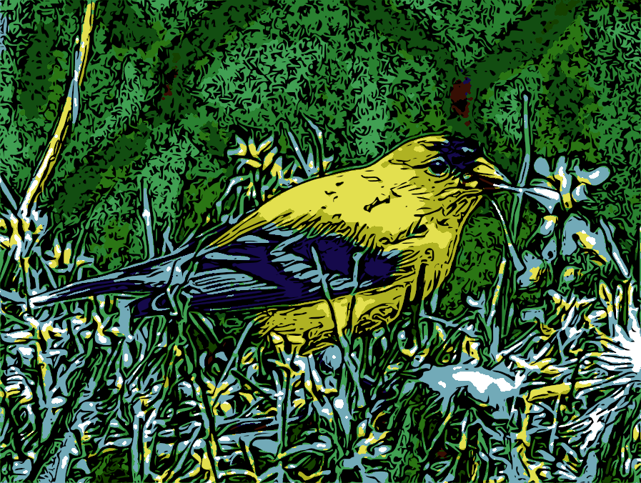 Cartoonizer-Engrave-Golden-Finch.png