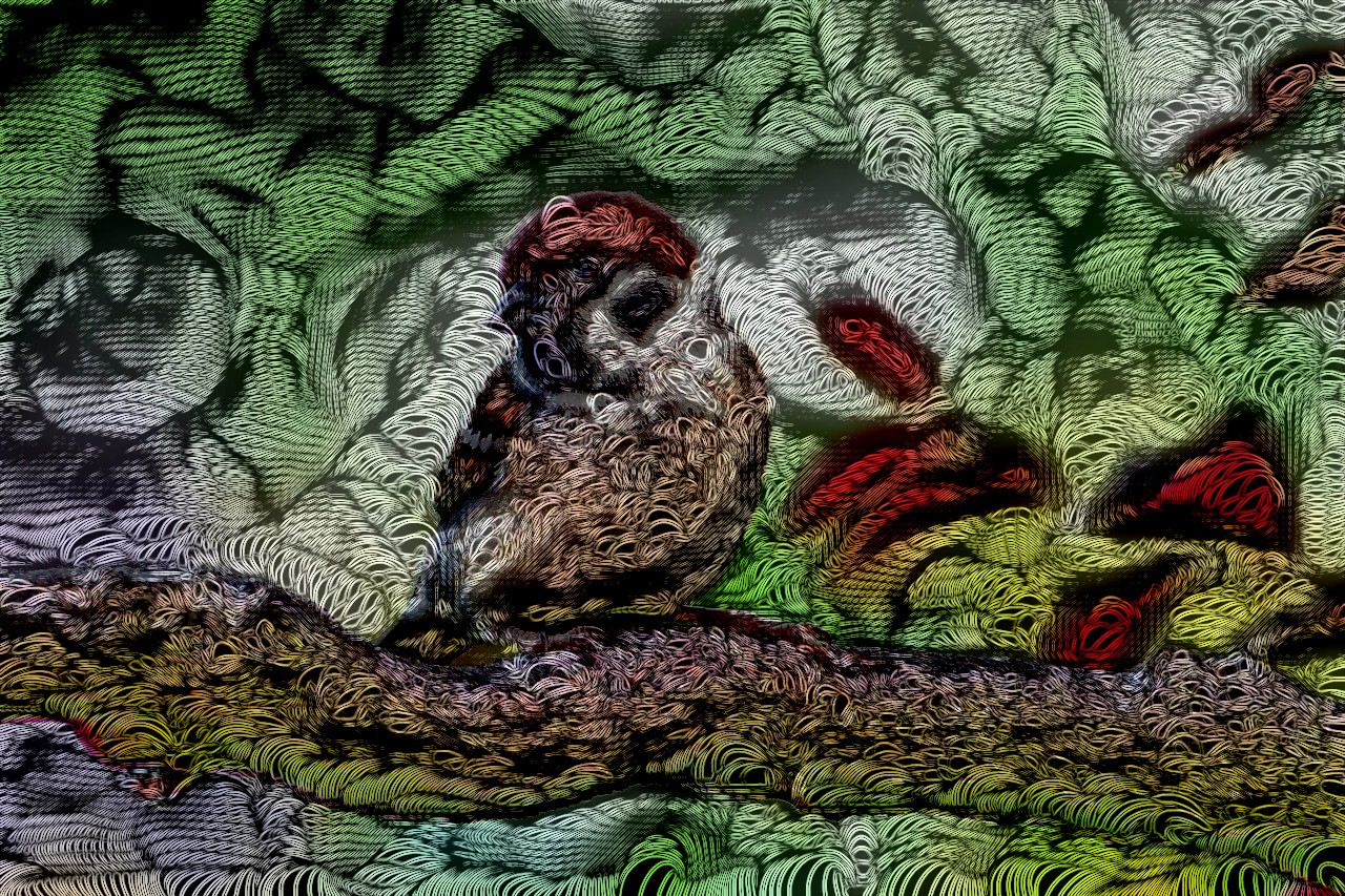 animal-4968215_12_DN_DTDT_Issa.jpg