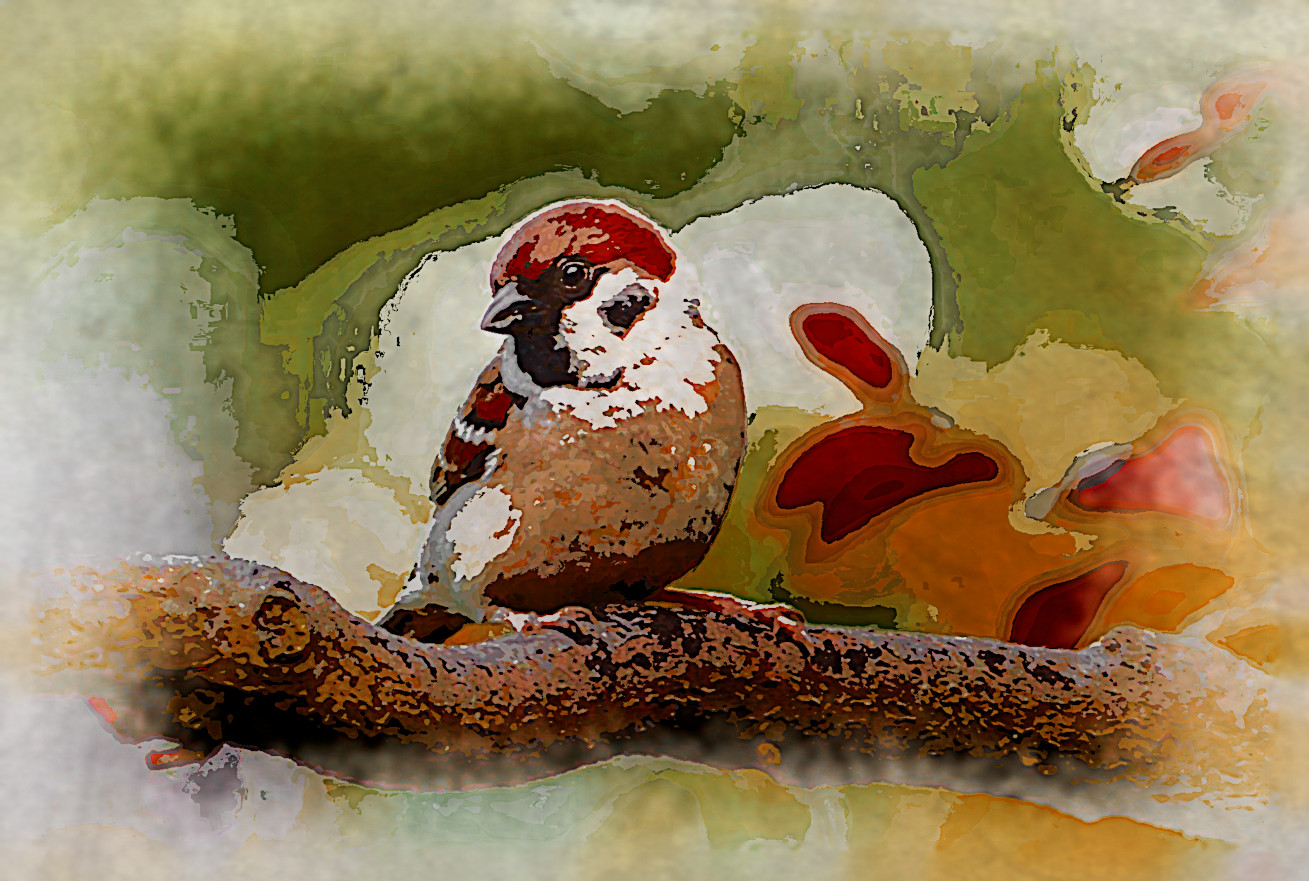 animal-4968215_DN_AquarellePlusPlus2_Animal_ca_Issa.jpg