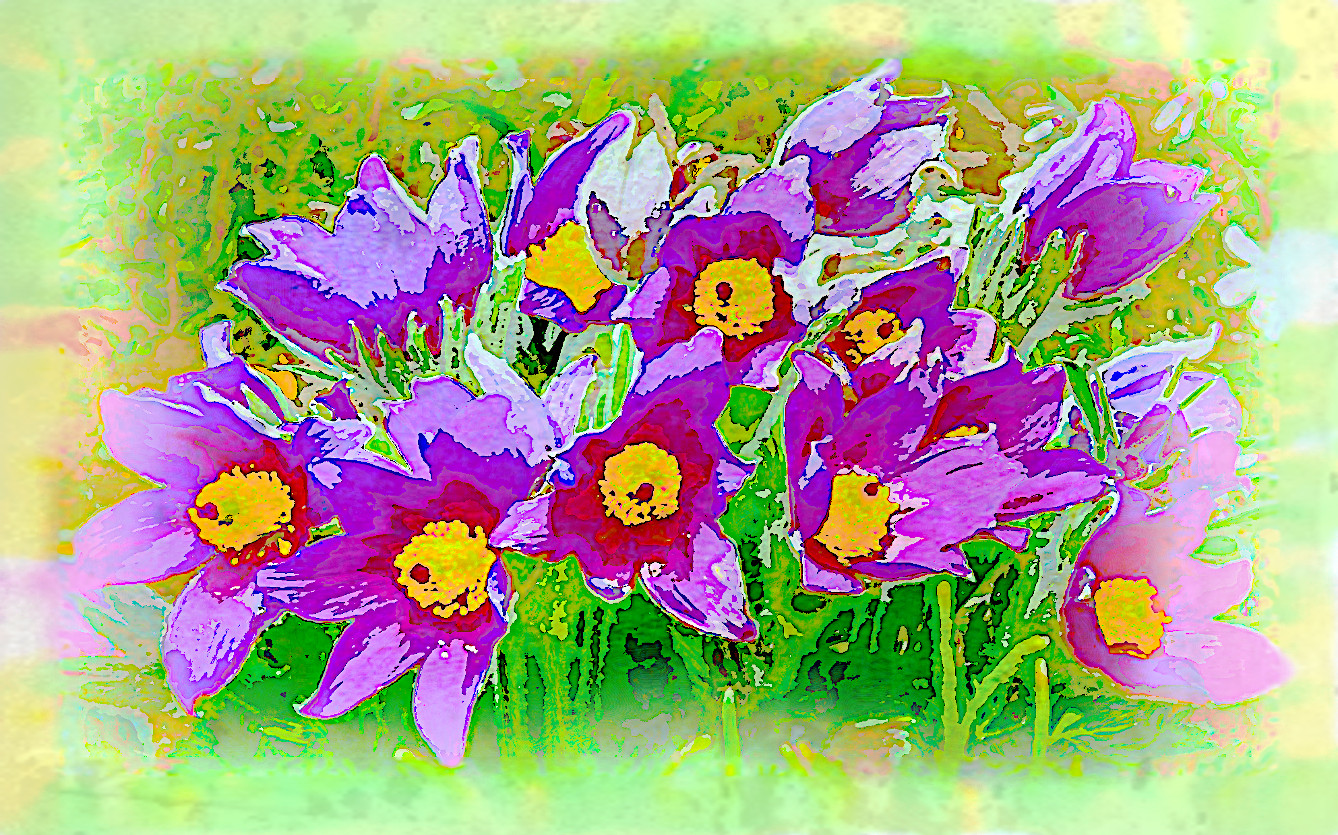 sasanki-5048393_DN_AquarellePlusPlus2_Flowers_Issa.jpg