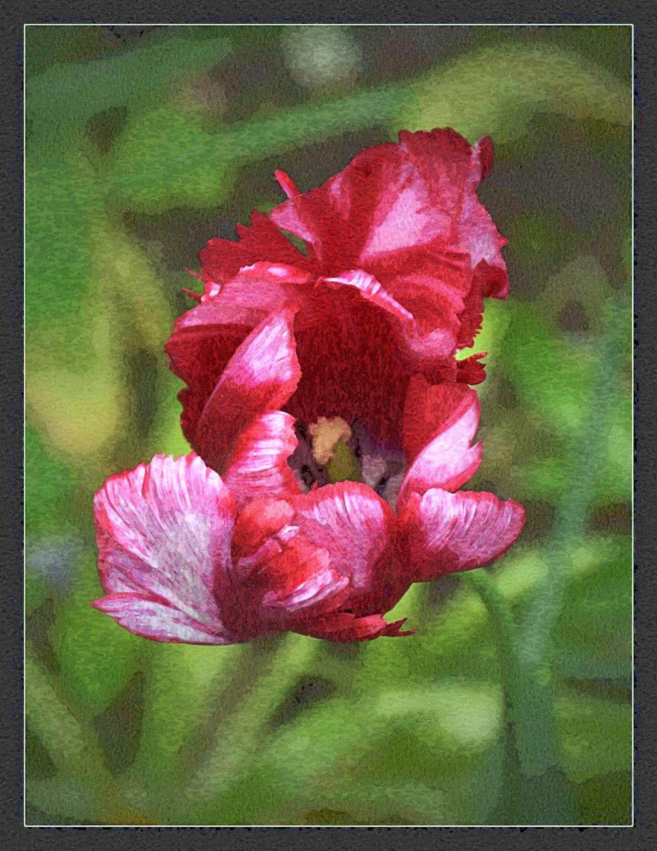 2020-06-02 14-19-11 _dsc0184_by_placi1_ddmuix4-pre, using patterns set=FPSstroke48, 18 colours.jpg