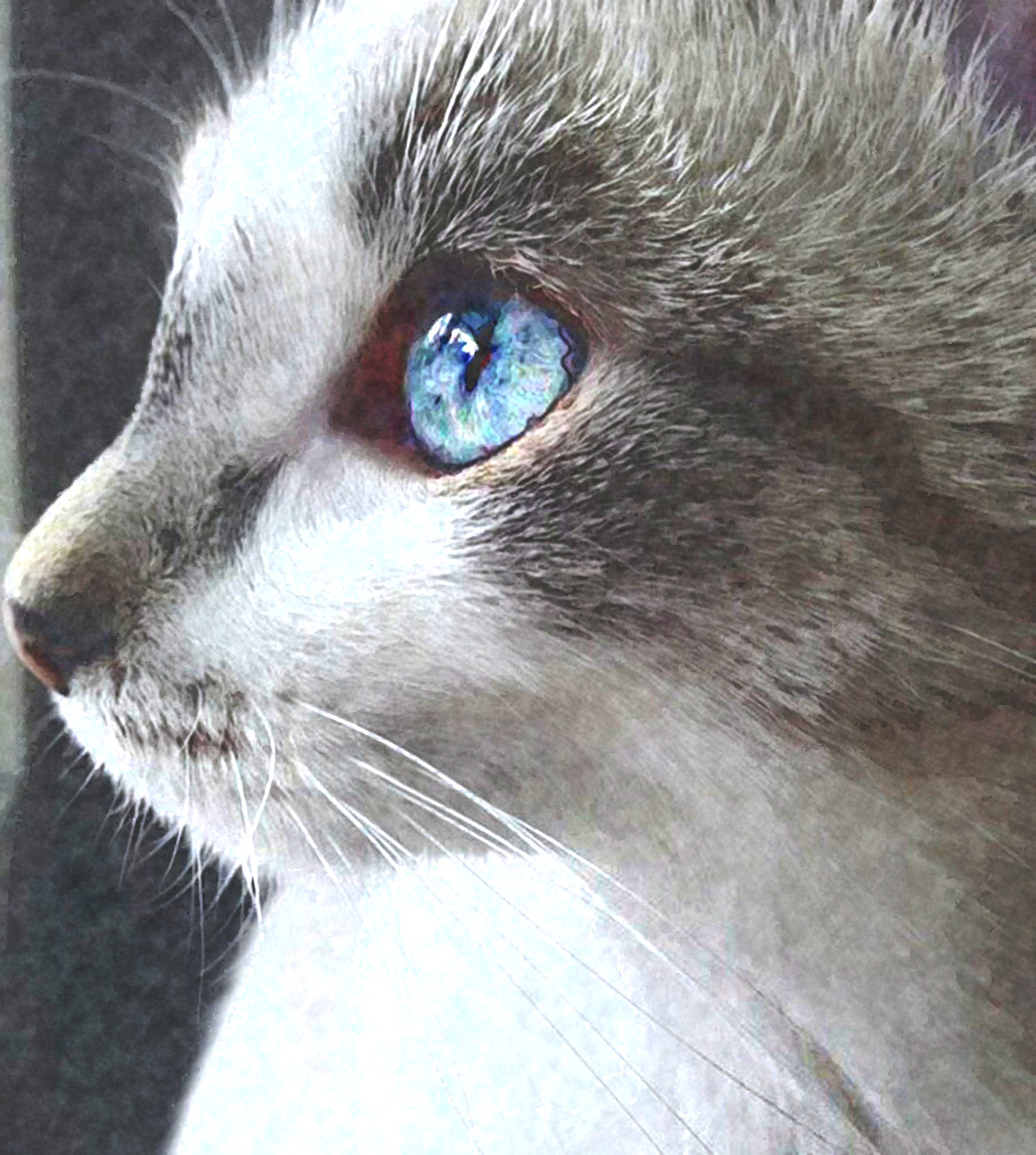 2020-06-03 07-58-07 there_s_a_light_in_hers_eyes____by_vdragosphotography_dd90j2y-fullview, using patterns set=FPSspot77, 18 colours.jpg