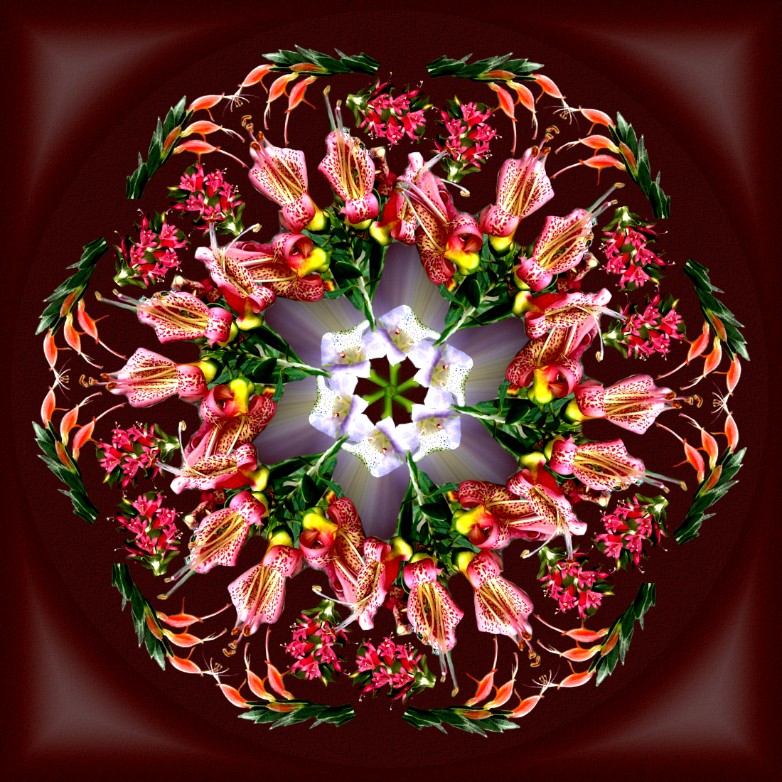mandala_eremophila.png