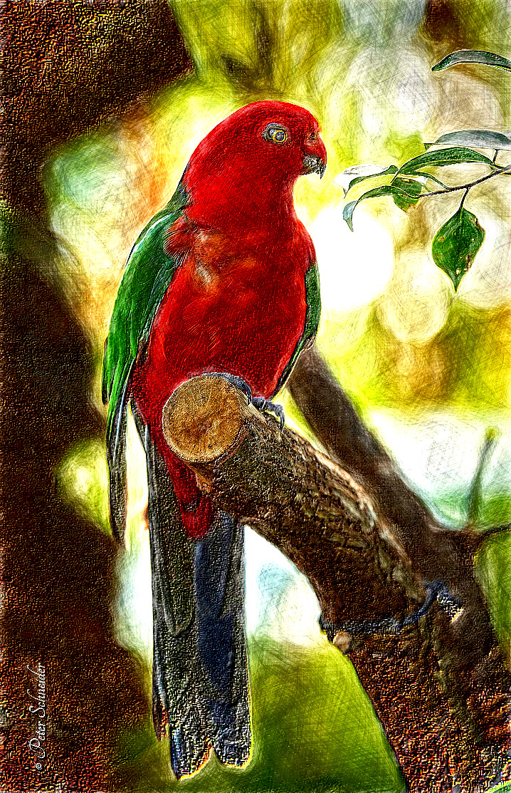 2020-08-23 15-30-18birds_birds_birds__vi___by_phototubby-dcca8mr with a draw on black effect, using option colours and pencil lead=HH.jpg