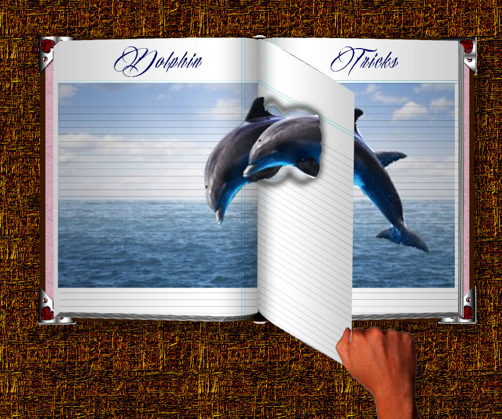 dolphin_manip.png