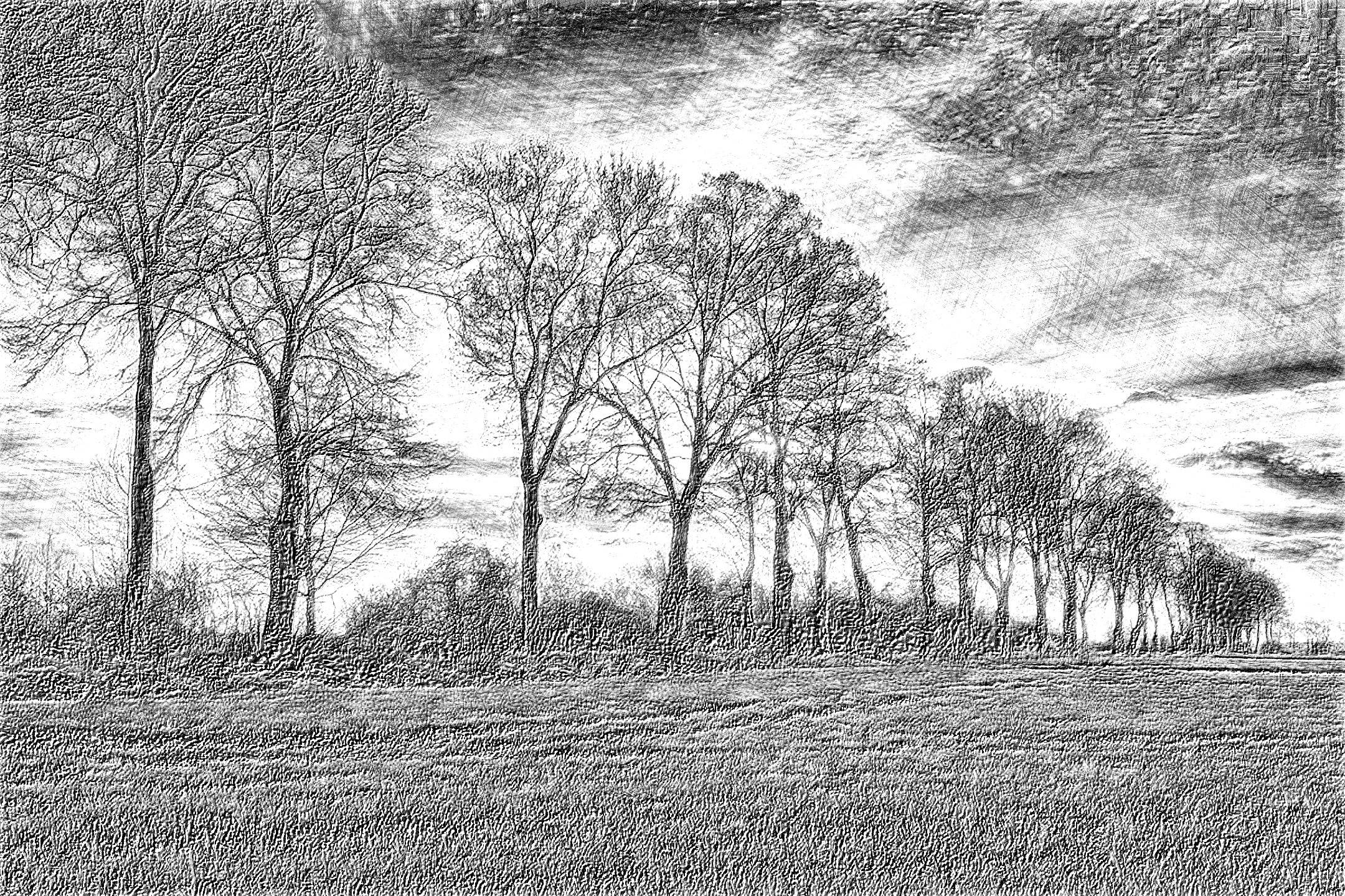 avenue_bathed_in_sunshine_by_citizenfresh_ddvy8xi_DN_ DrawingEffects_B&W(GEGL desat C2G).jpg