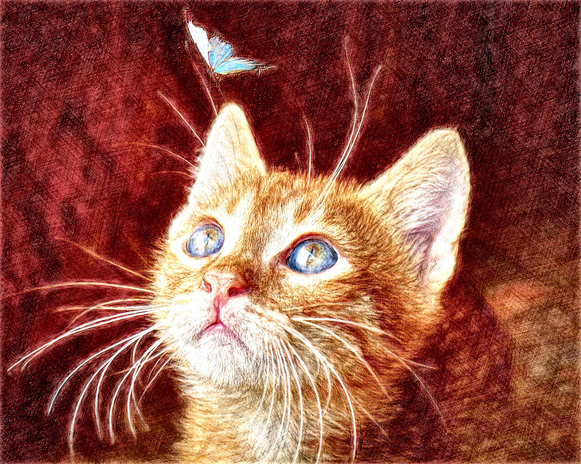 cat-4277400_DN_DrawingEffects_ColourGEGL.jpg