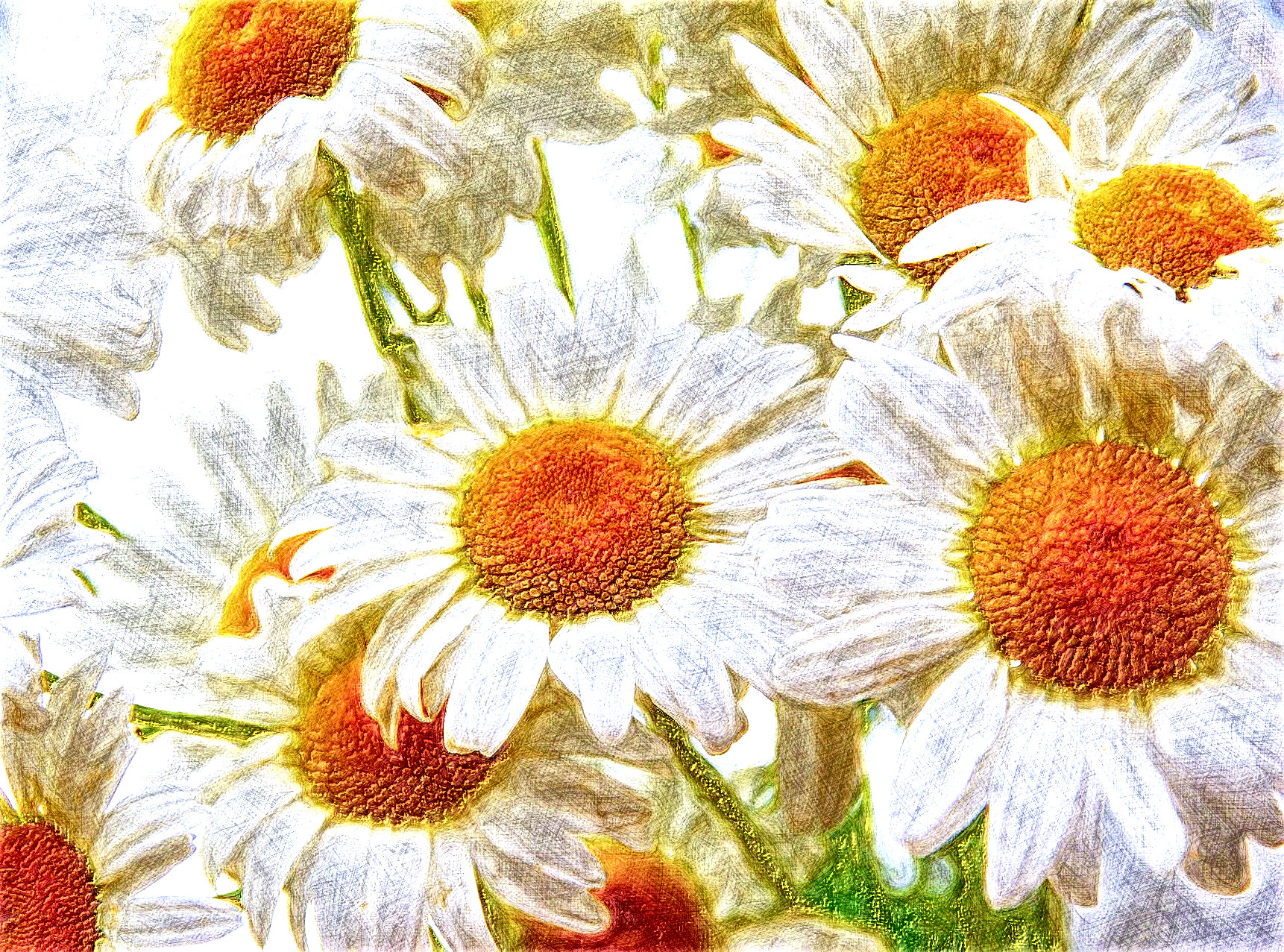 daisy-3067243_DN_DrawingEffects_Colour(GEGL desat C2G).jpg