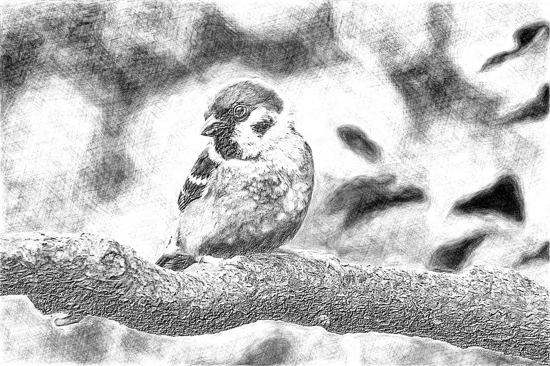 animal-4968215_DN_DrawingEffects_B&W_BB(GEGL desat C2G).jpg