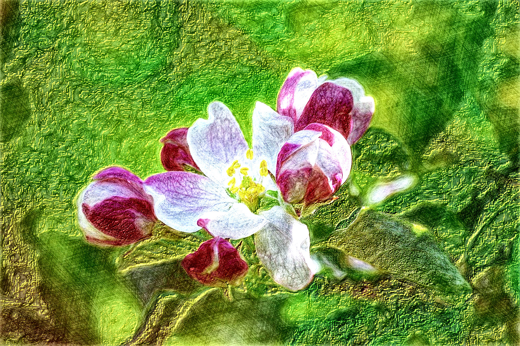 cherry-blossom-5043253_DN_DrawingEffects_Colour(GEGL desat C2G).jpg
