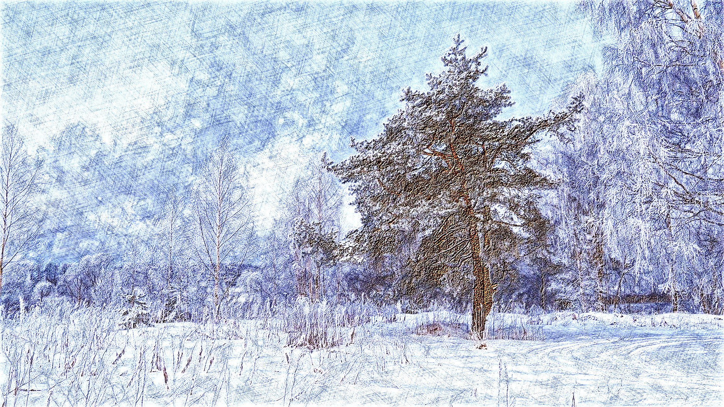 spruce-3543061_DN_DrawingEffects_Colour(GEGL desat C2G).jpg