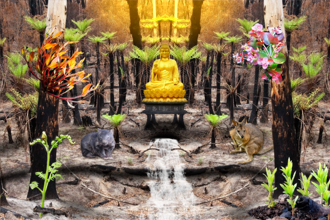regrowth_&_renewal.png