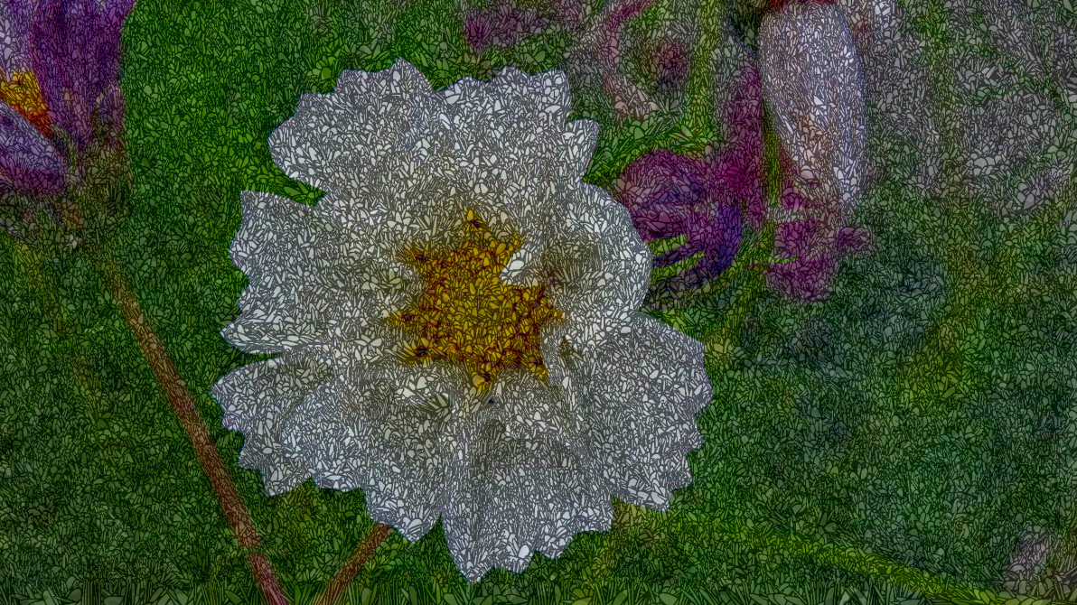 2020-09-14 08-47-14flower____by_a_separate_reality_de514ok-pre, with a draw effect style C (GEGL desat C2G) (resolution=20) (size=16).jpeg