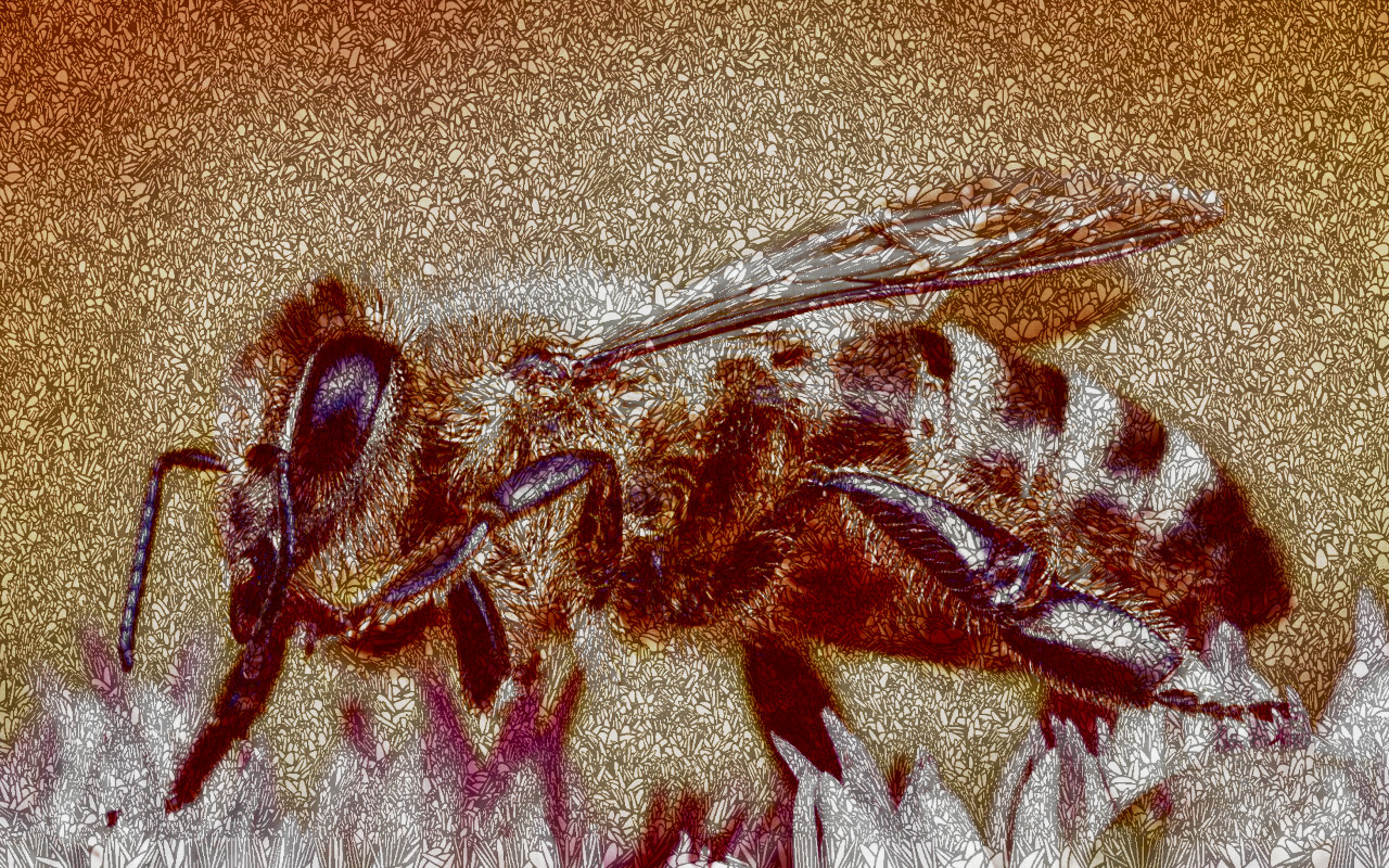 2020-09-14 17-45-44wee_honey_bee_by_snomanda_de50kw5-fullview, with a draw effect style C (resolution=20) (size=16).jpeg