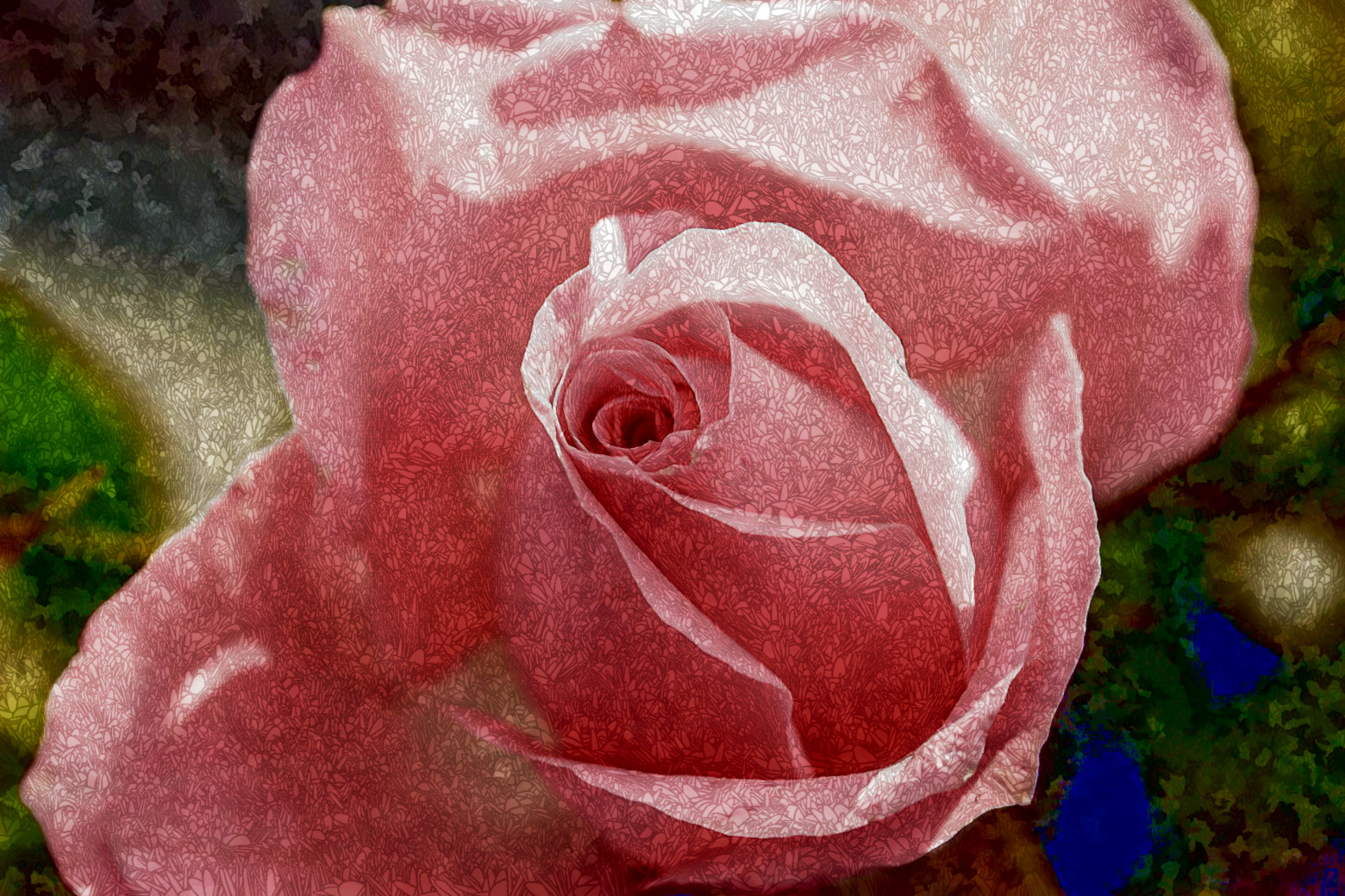 2020-09-15 07-05-50rose-1732782-1560x1040, with a draw effect style C (resolution=20) (size=16).jpeg