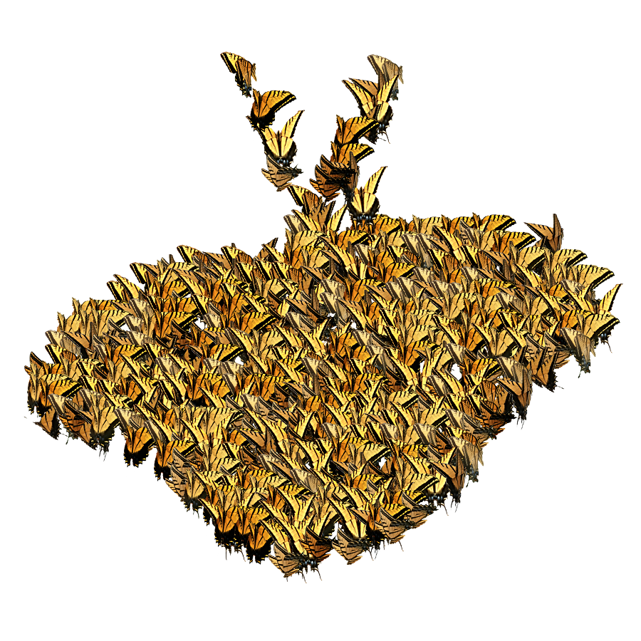 st_fill.png