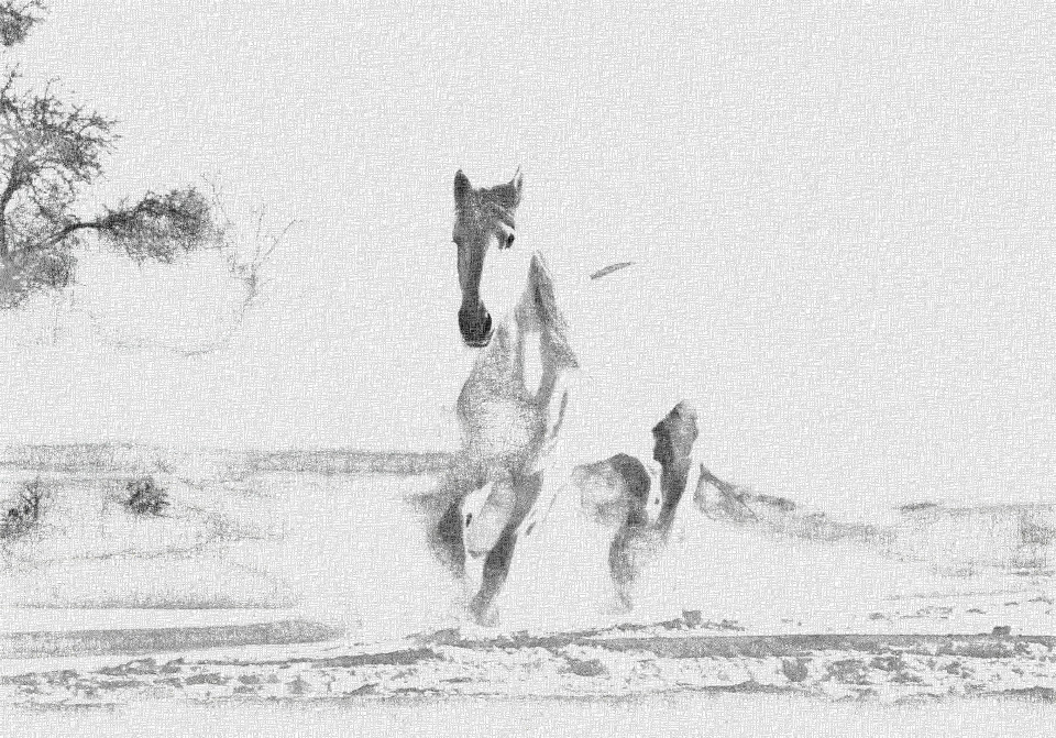 2020-09-24 06-23-32 white-horse-3010129_960_720 drawed in style D using option Light gray look.jpeg