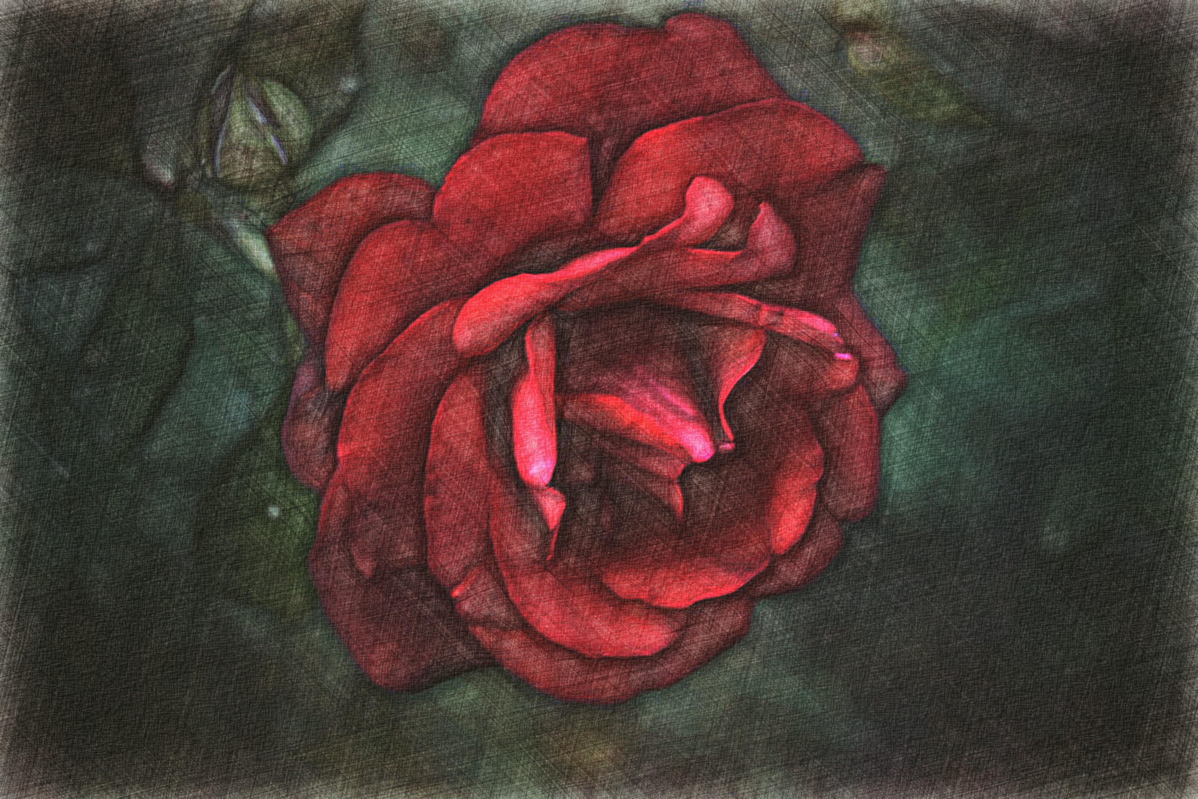 2020-09-28 10-39-28 _dsc0004__9__by_placi1_de5wpqn-fullview drawed in style D using option Vivid colours look (paper gravel).jpeg