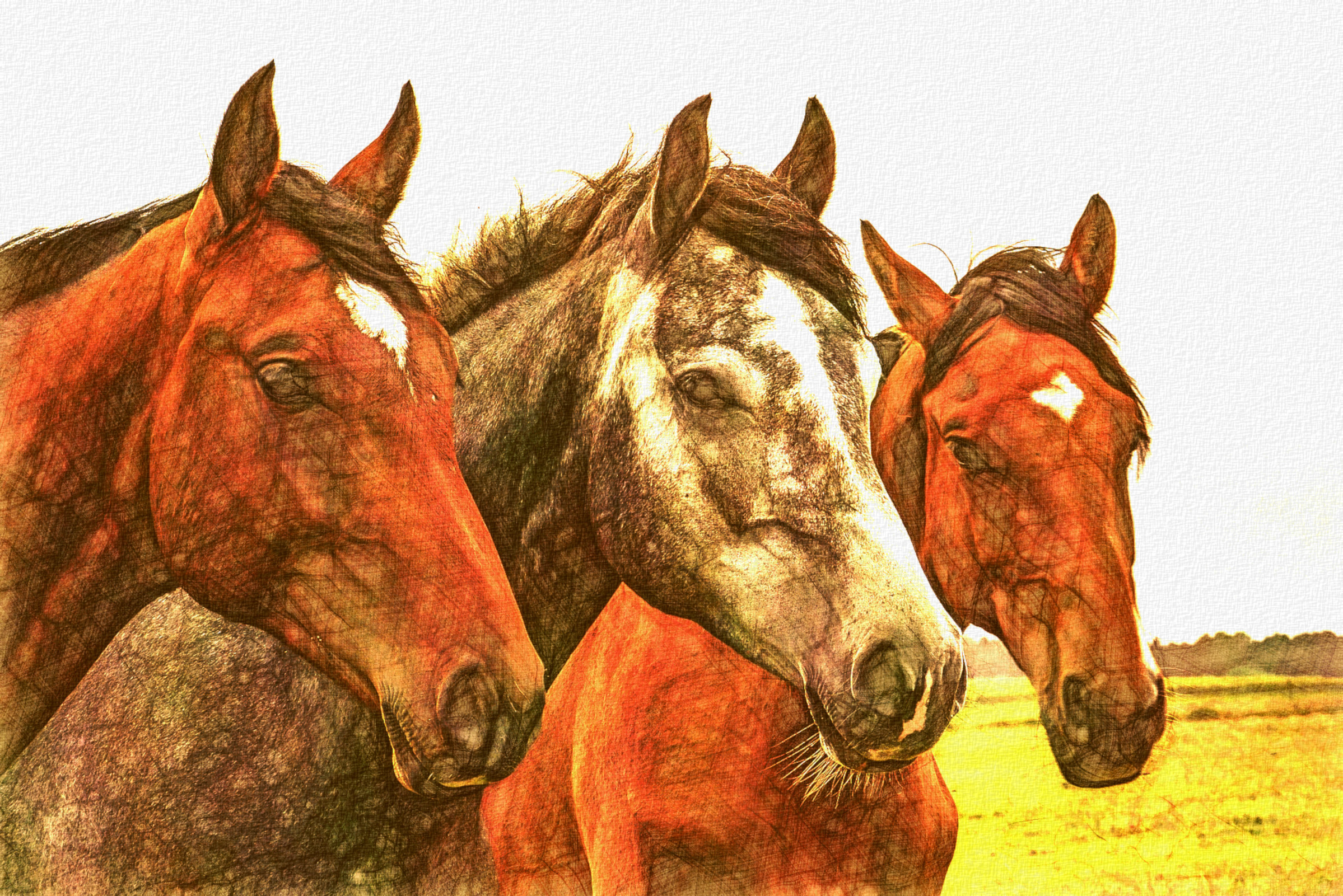 2020-09-28 13-59-23 horses-1414889_1920 drawed in style D using option Vivid colours look (paper poppy).jpeg
