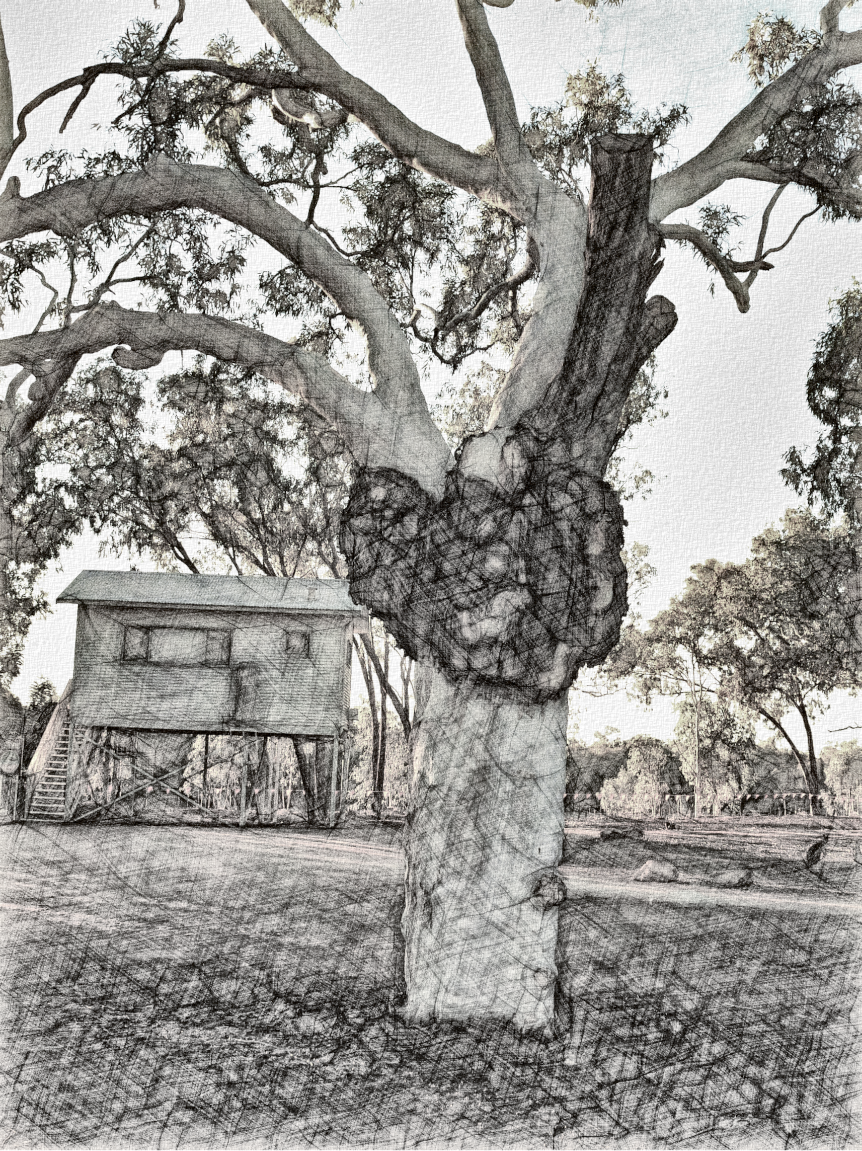 outback_school.png