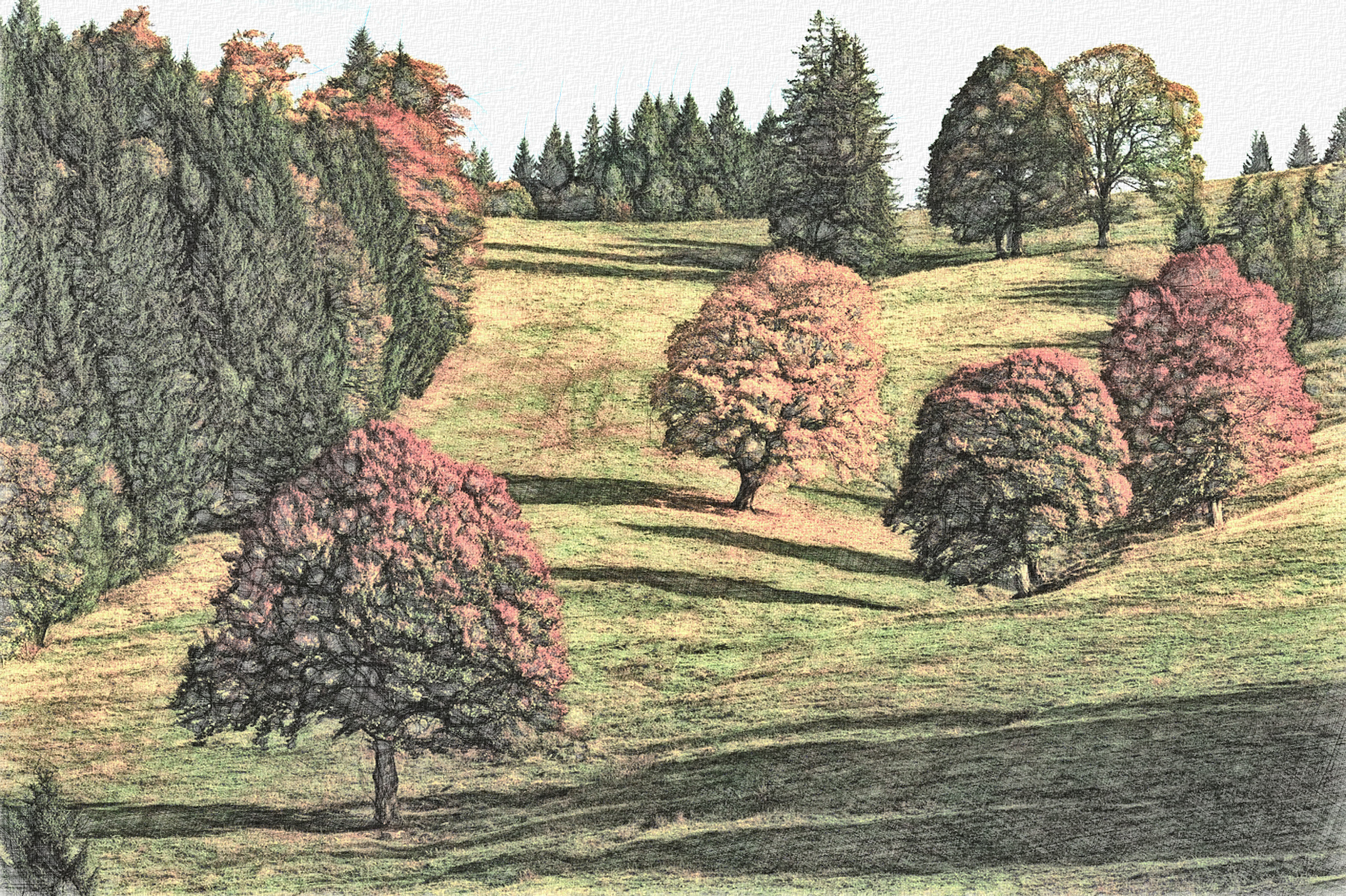 autumn-2800880_DN_DrawingStyleD_LCD.jpg